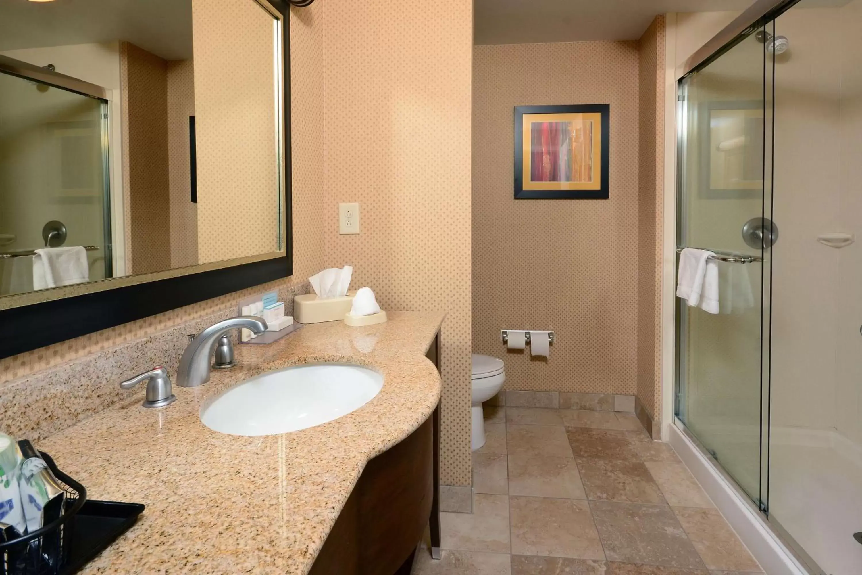 Bathroom in Hampton Inn & Suites Durham North I-85