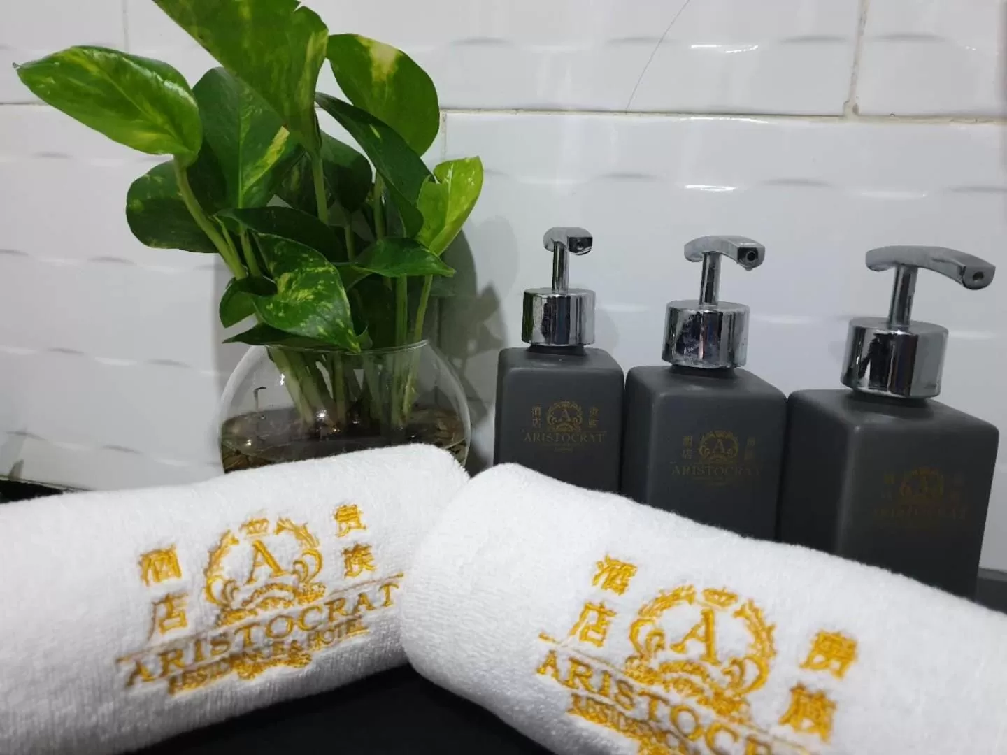 Property logo or sign in Aristocrat Residence & Hotel