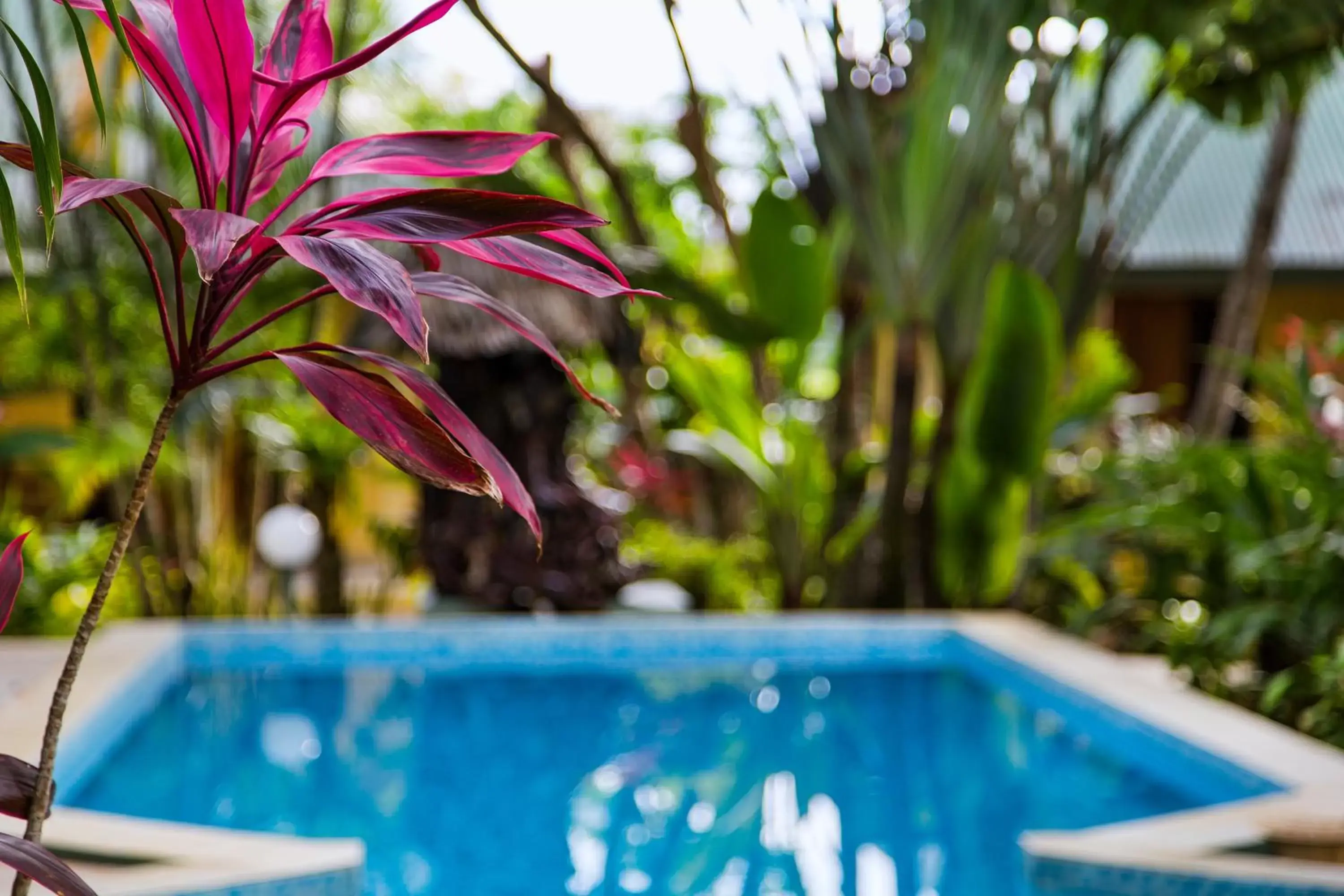 Day, Swimming Pool in Poppy's on the Lagoon