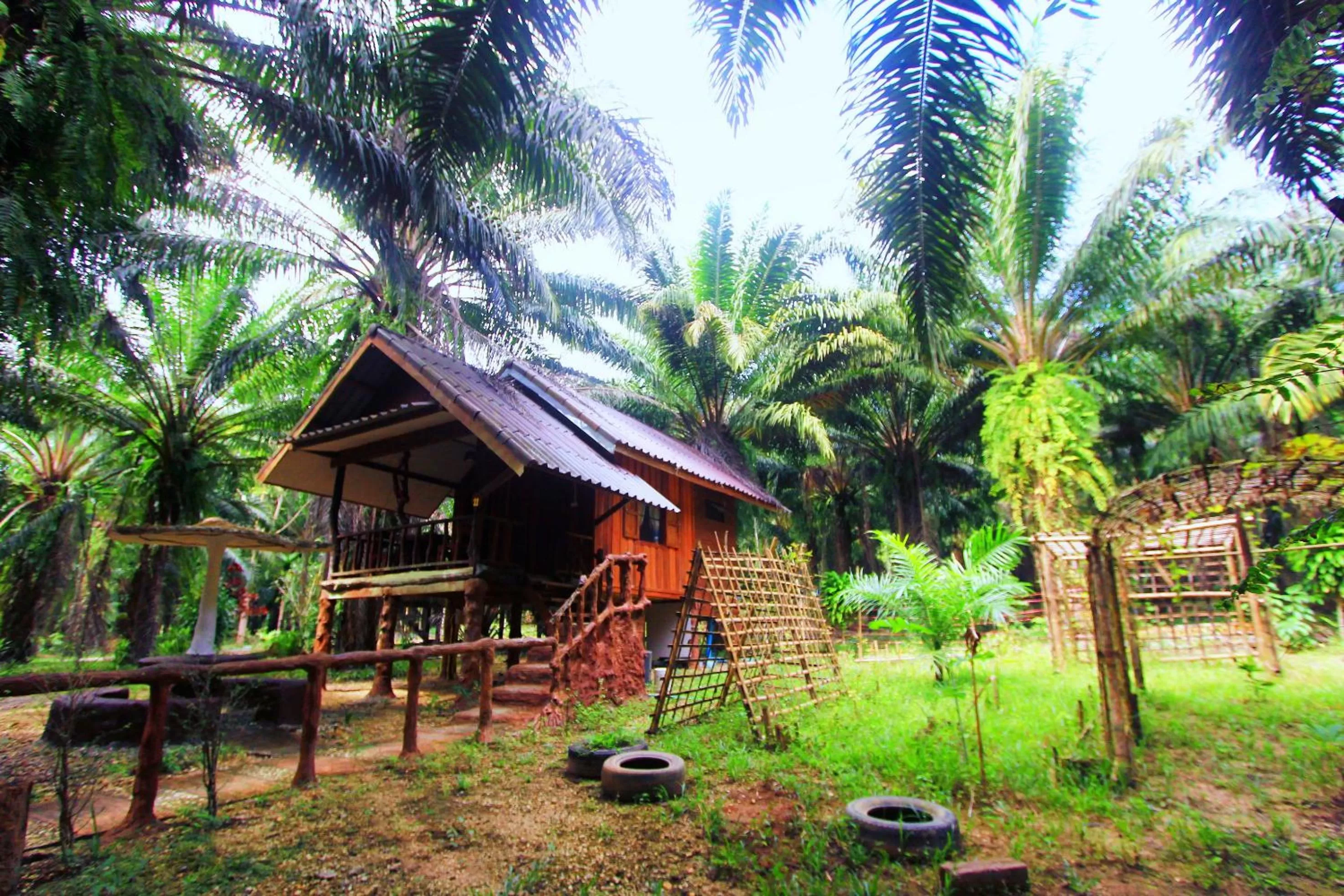 Property building in Khao Sok Palmview Resort