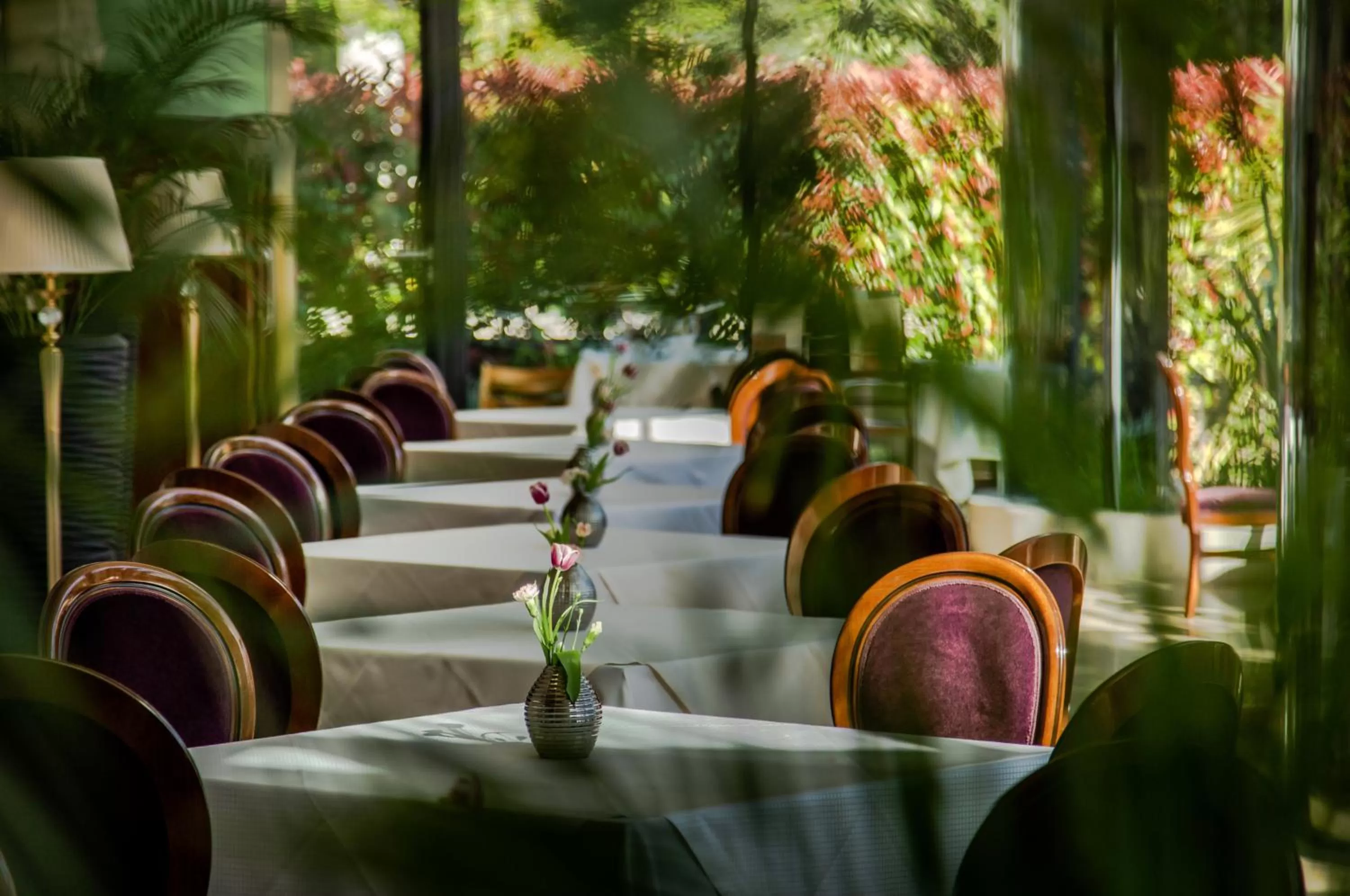 Restaurant/places to eat in Hotel Park Split