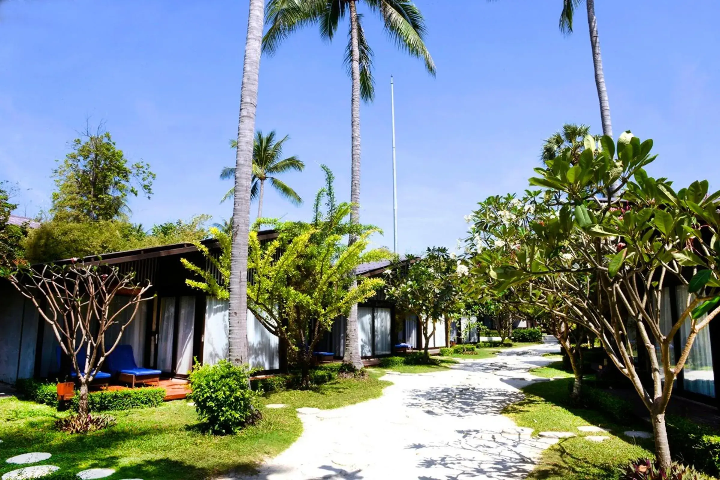 Natural landscape, Garden in Chura Samui - SHA Plus