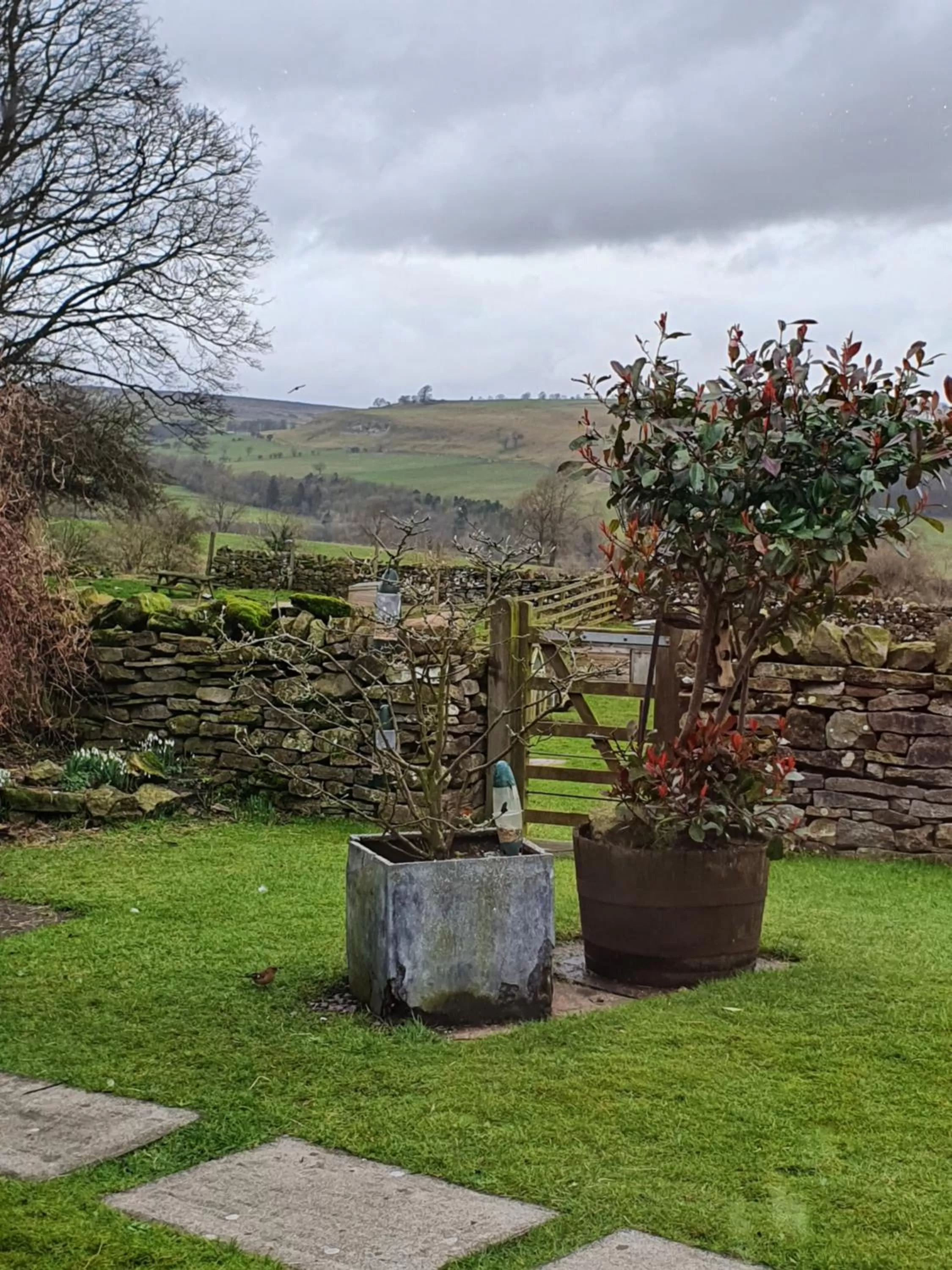 Garden in Bolton arms downholme