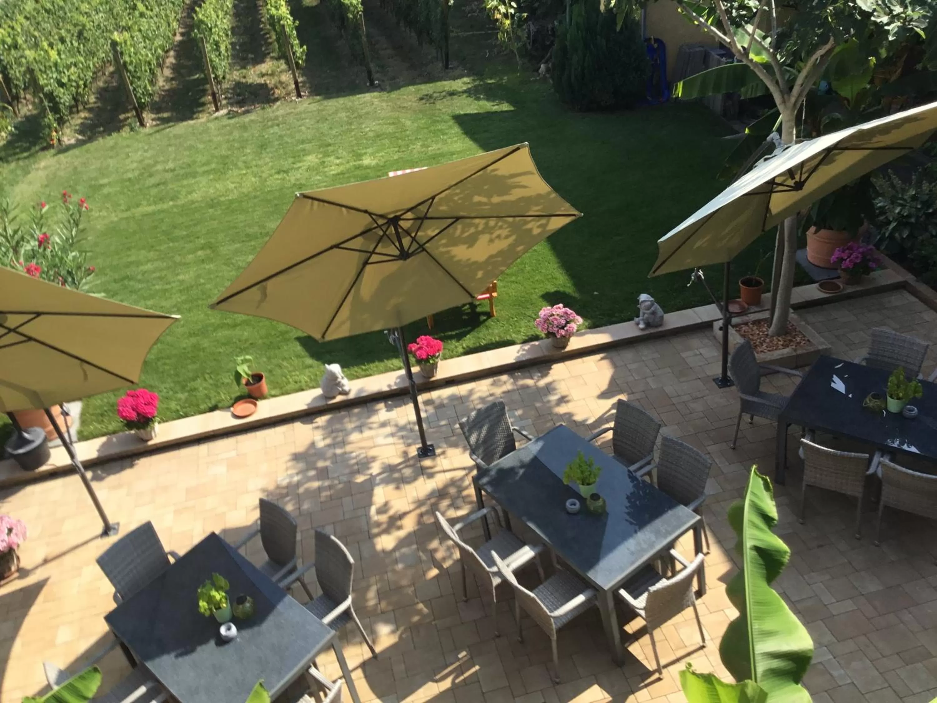 Balcony/Terrace in Bed and Breakfast - Rheingauer Hof