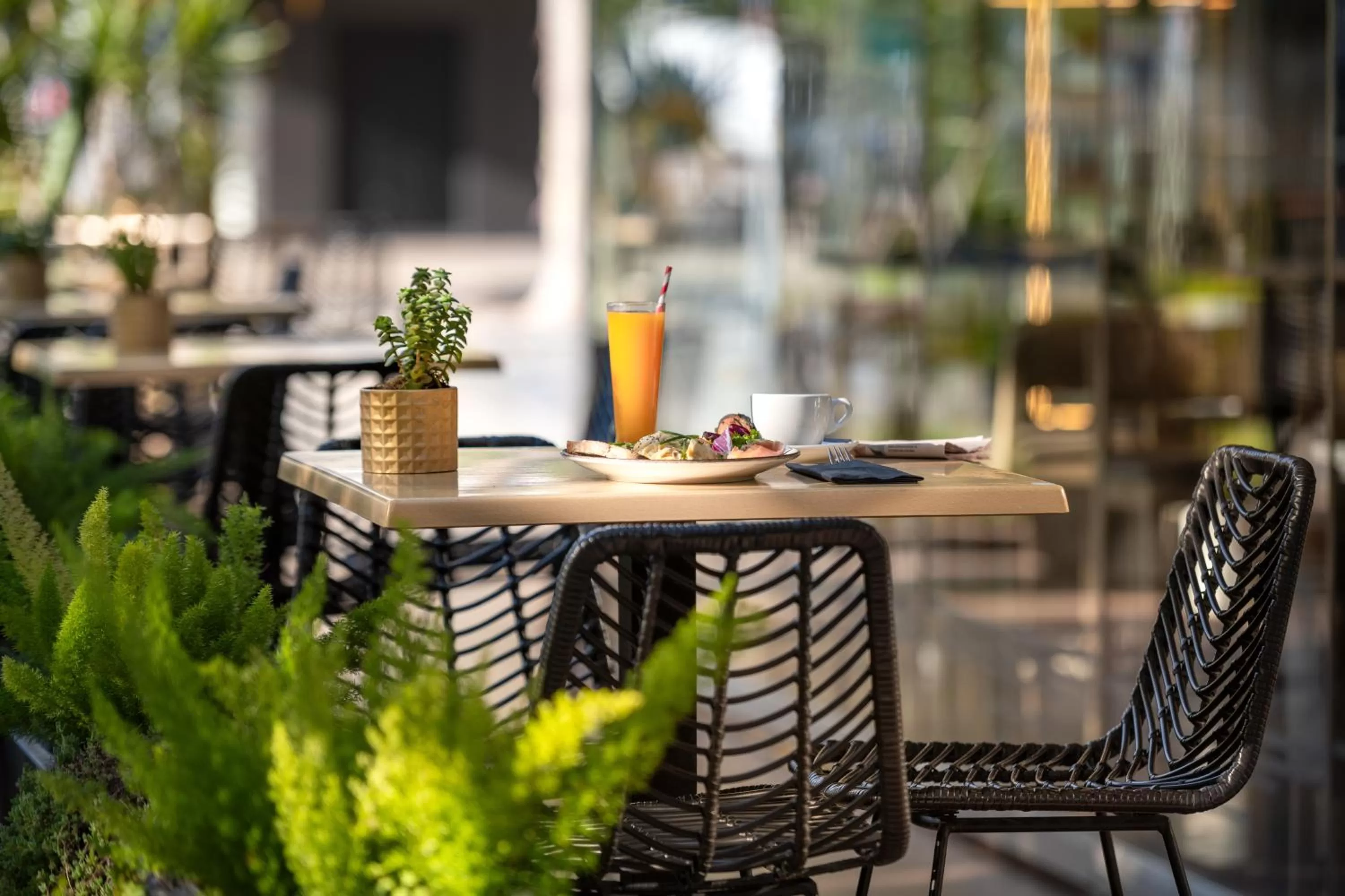 Food and drinks in Climia Belroy 4 Sup