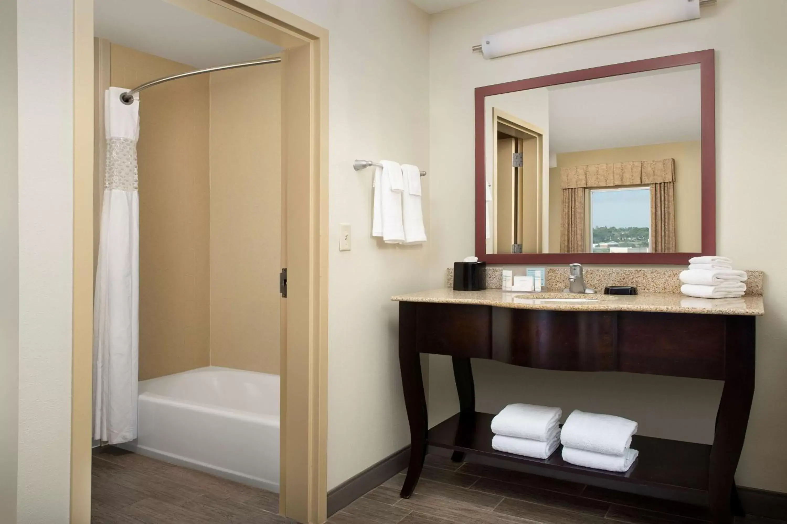 Bathroom in Hampton Inn & Suites Lakeland-South Polk Parkway