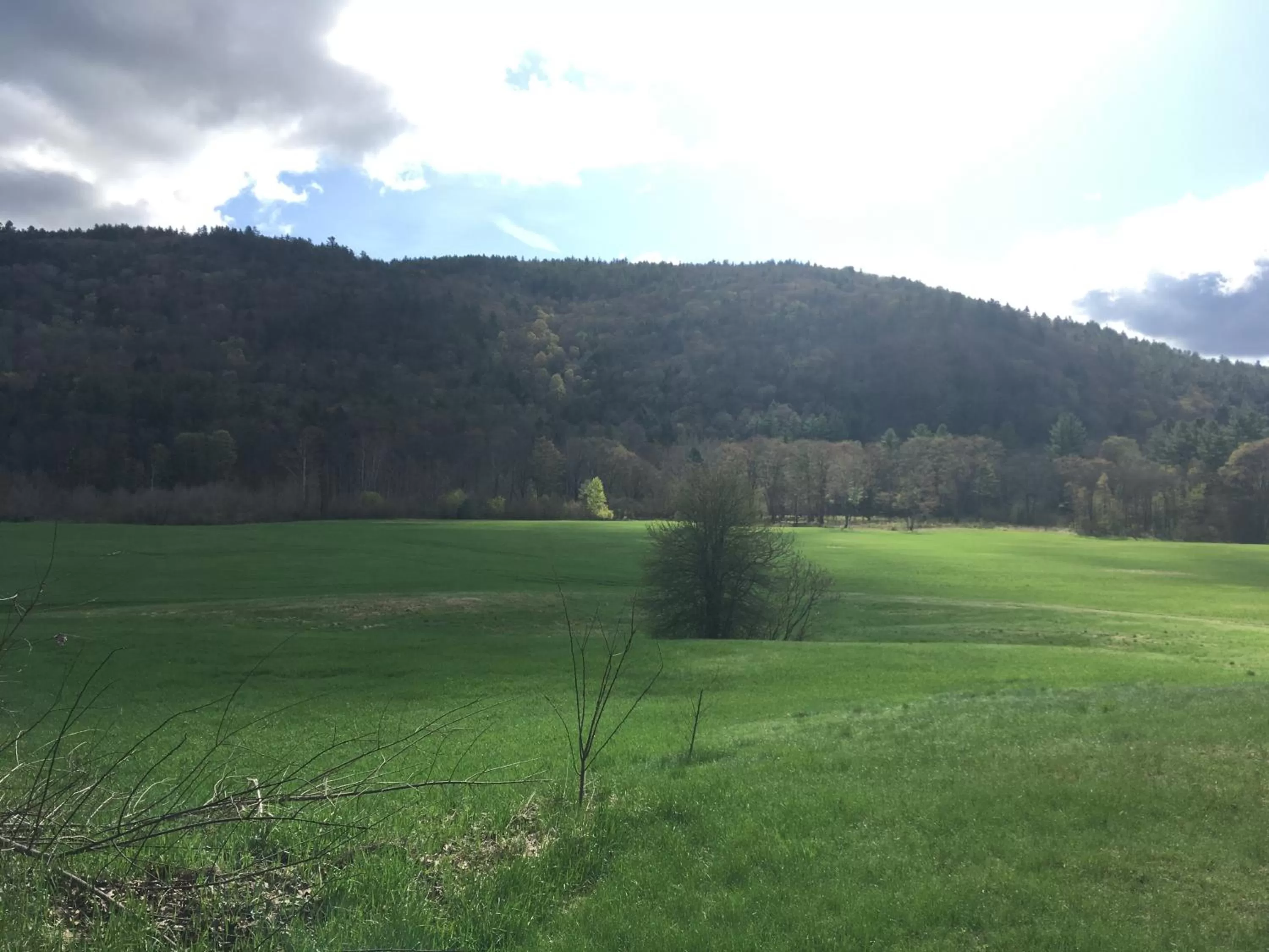 View (from property/room) in The Lodge at West River