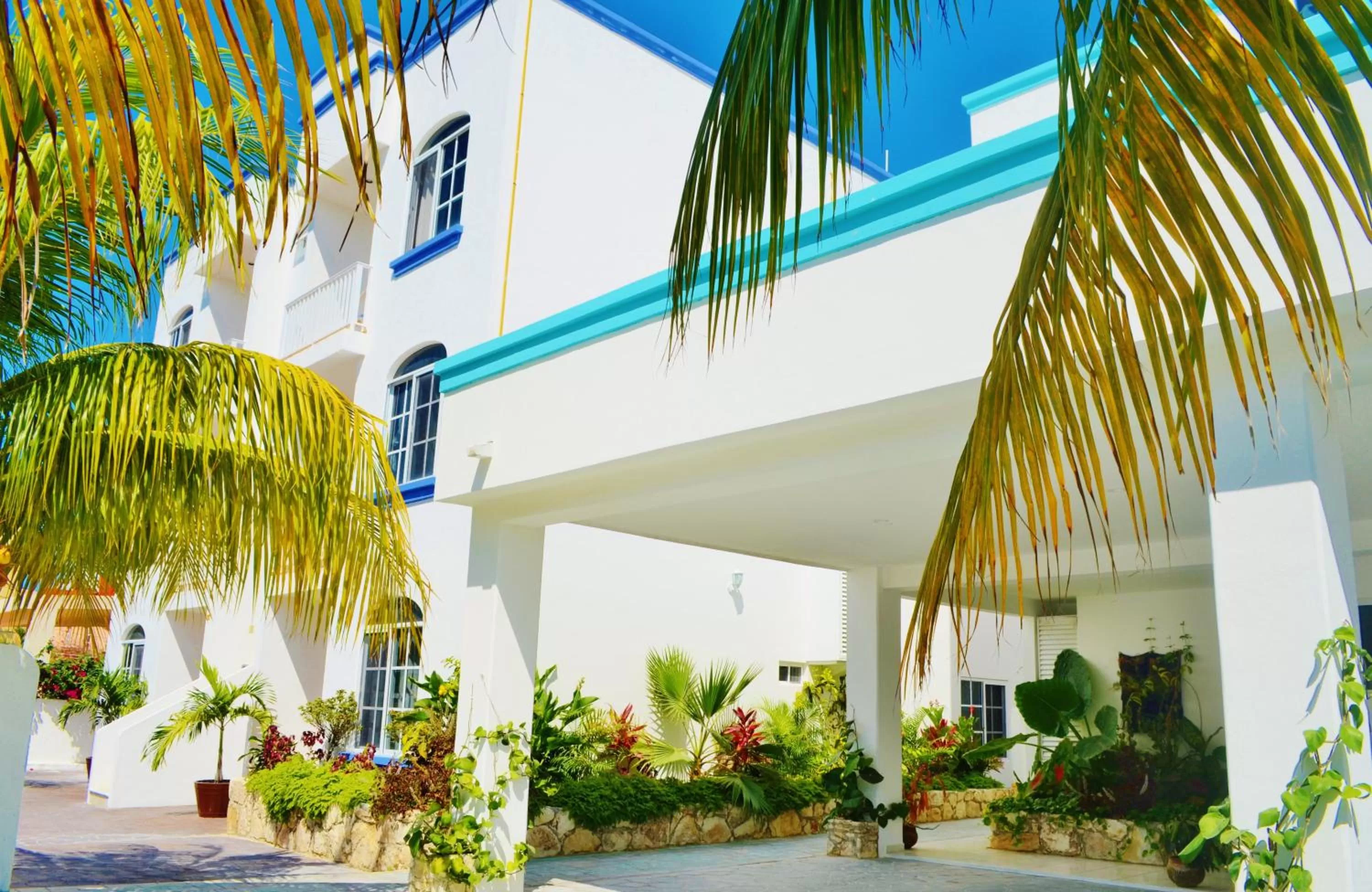 Property building in Corales Suites