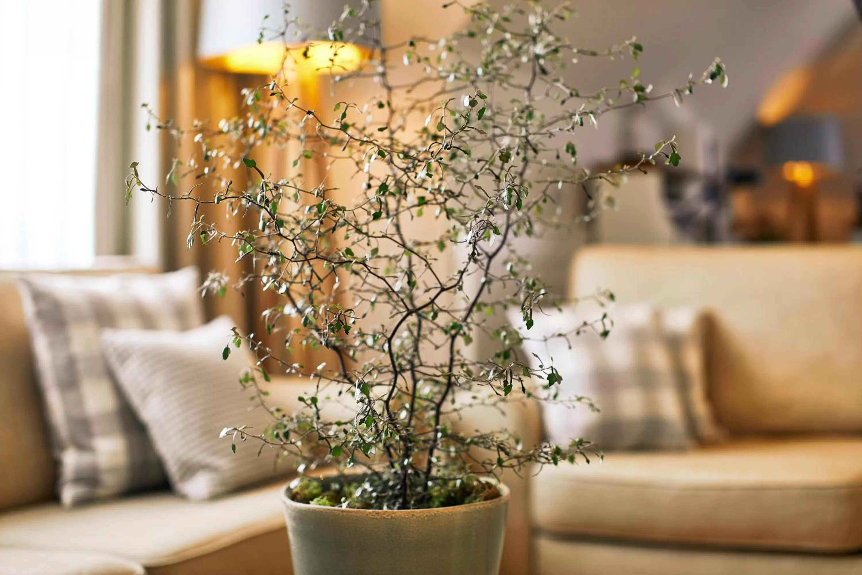 Fuchsbau Romantik Hotel & SPA Restaurant & FOX Bar