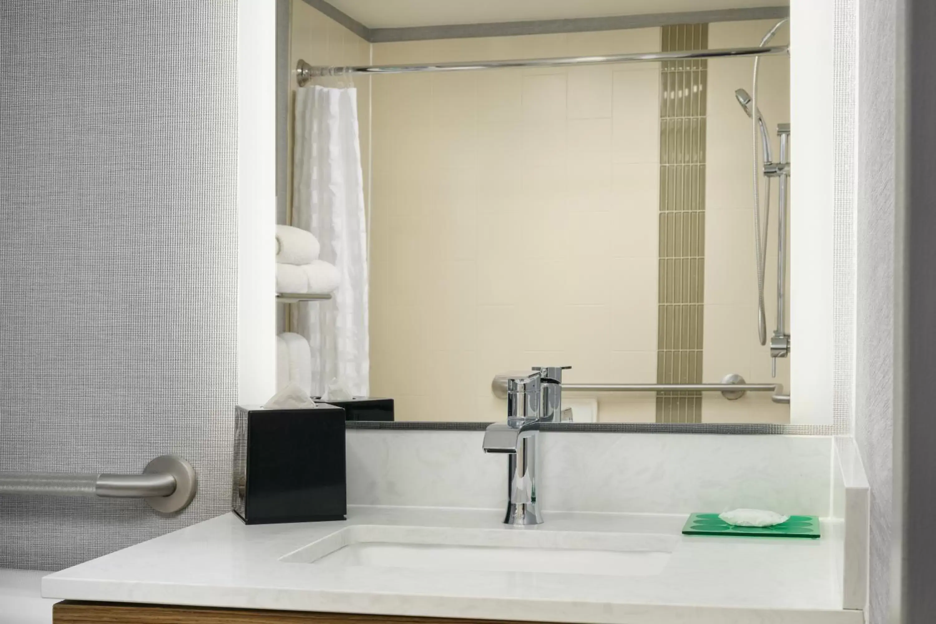 King Room with Sofa Bed and Roll-In Shower - Disability Access in Hyatt Place Greensboro