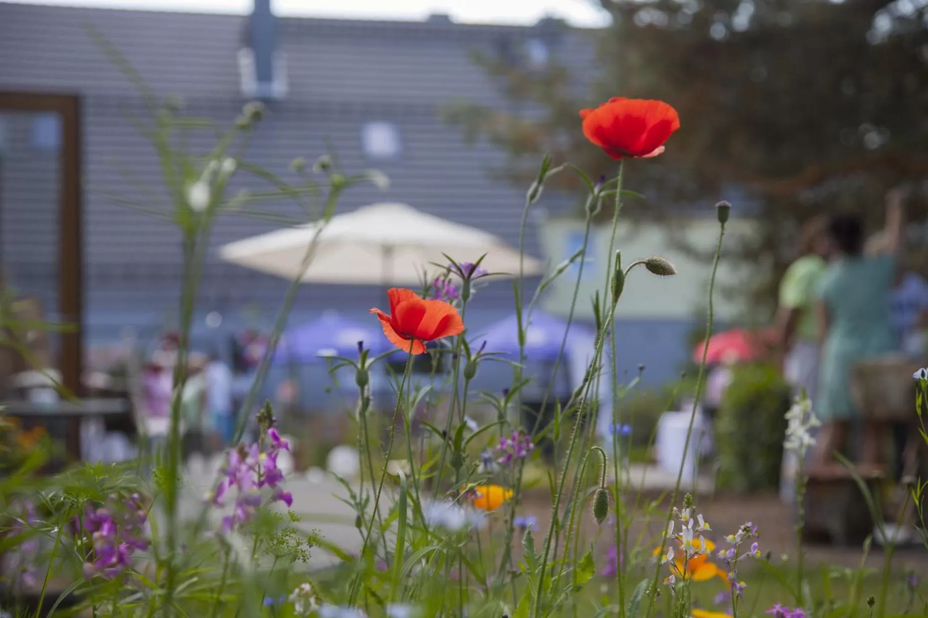 Day in mein kleinHOTEL