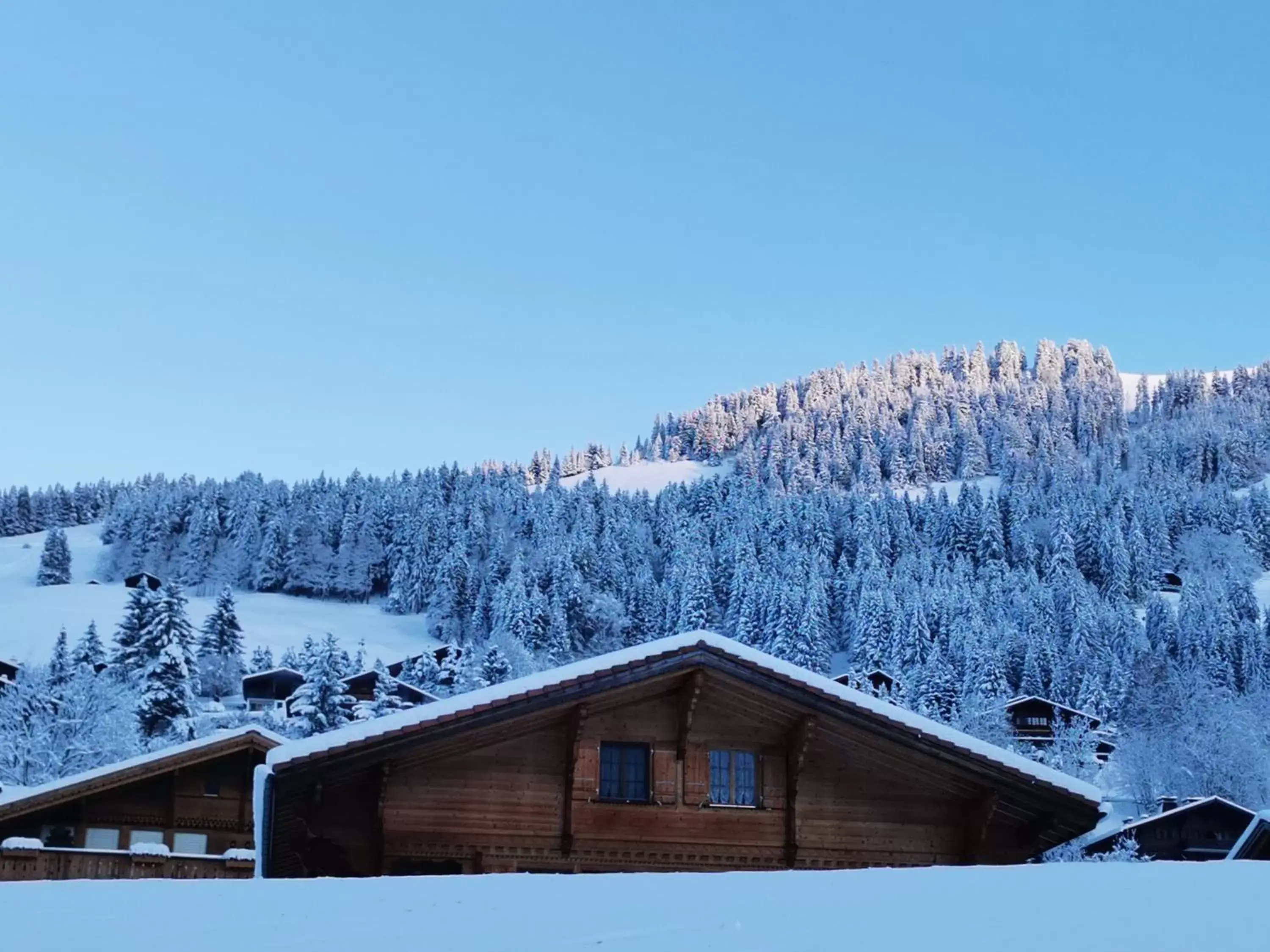 Natural landscape, Winter in Hôtel de Rougemont & Spa