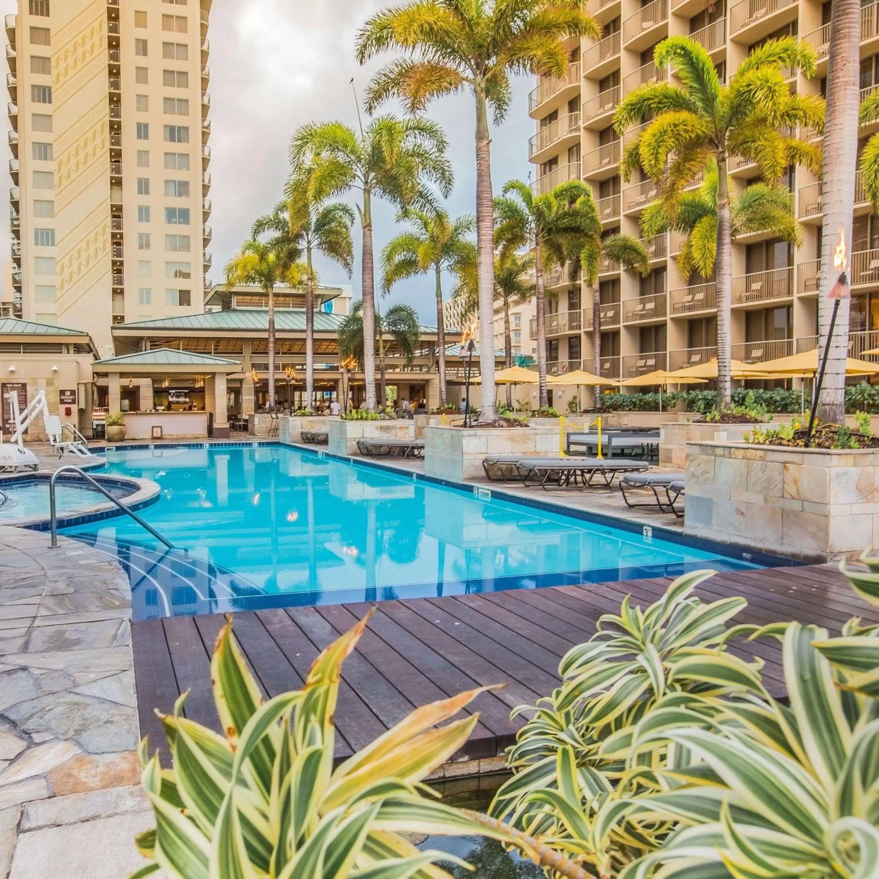 Pool view in Embassy Suites by Hilton Waikiki Beach Walk