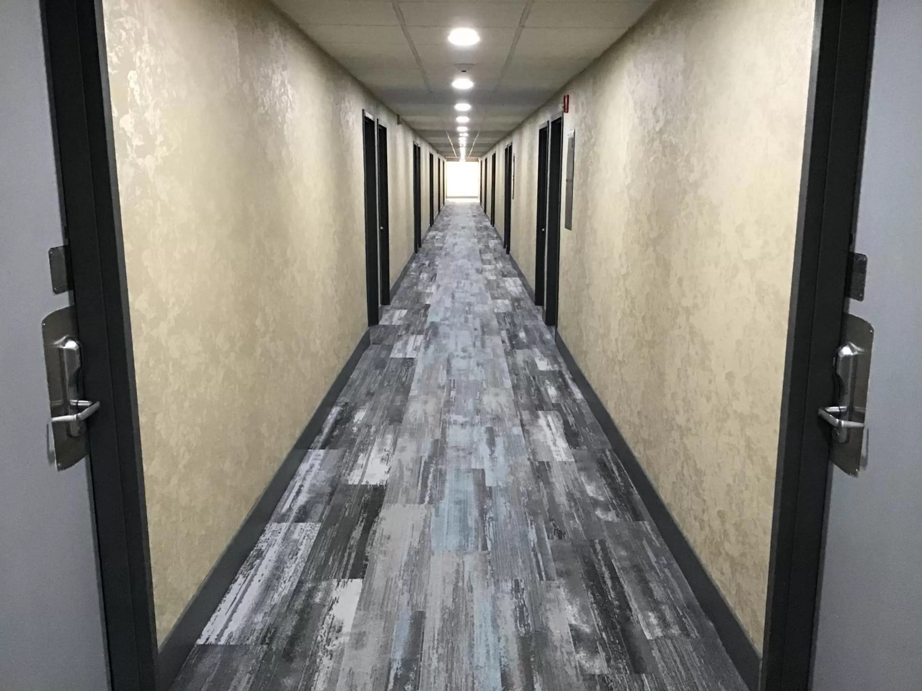 Decorative detail in Howard Johnson by Wyndham Gillette