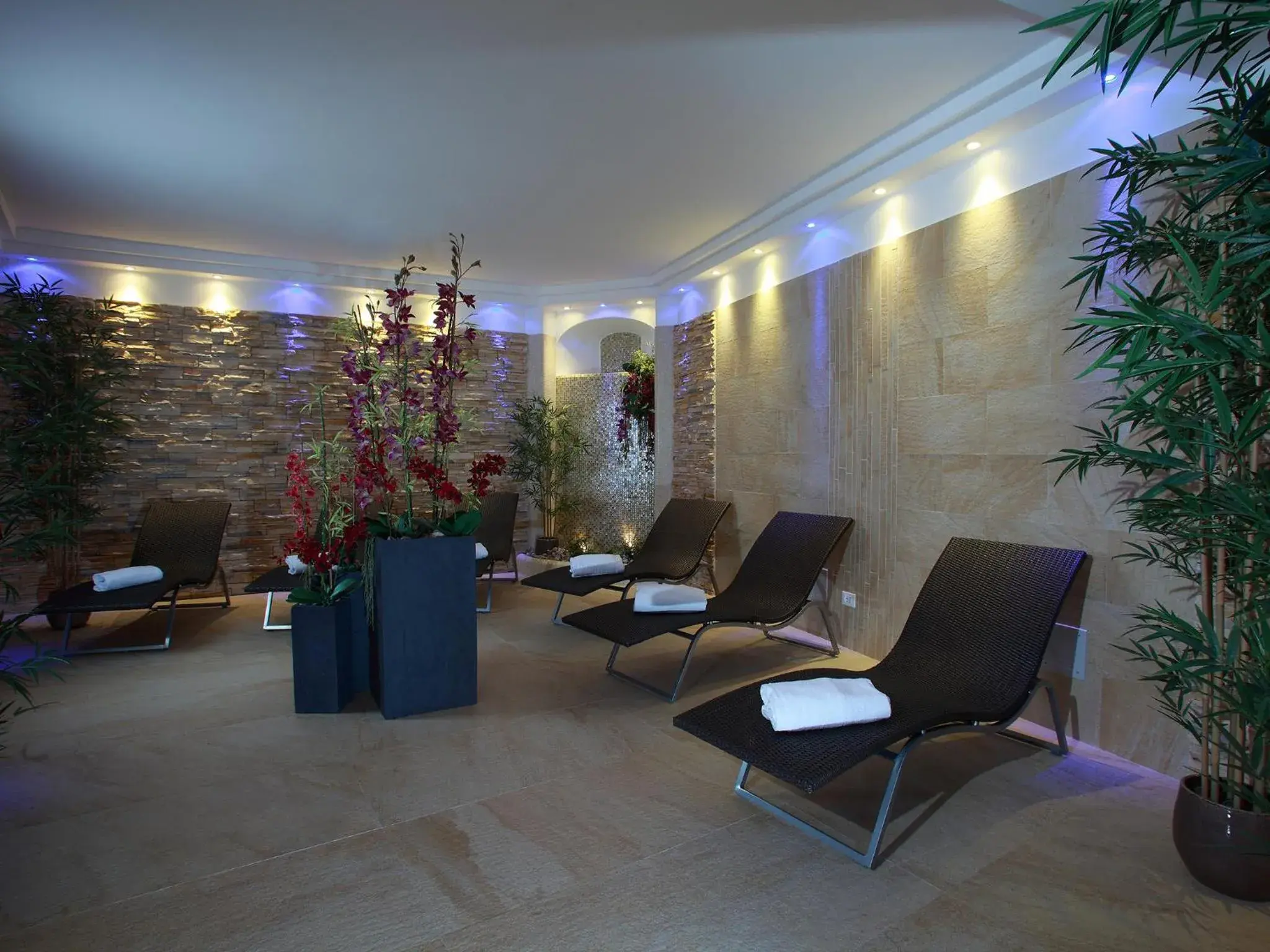 Spa and wellness centre/facilities in Hotel Terme Royal Palm