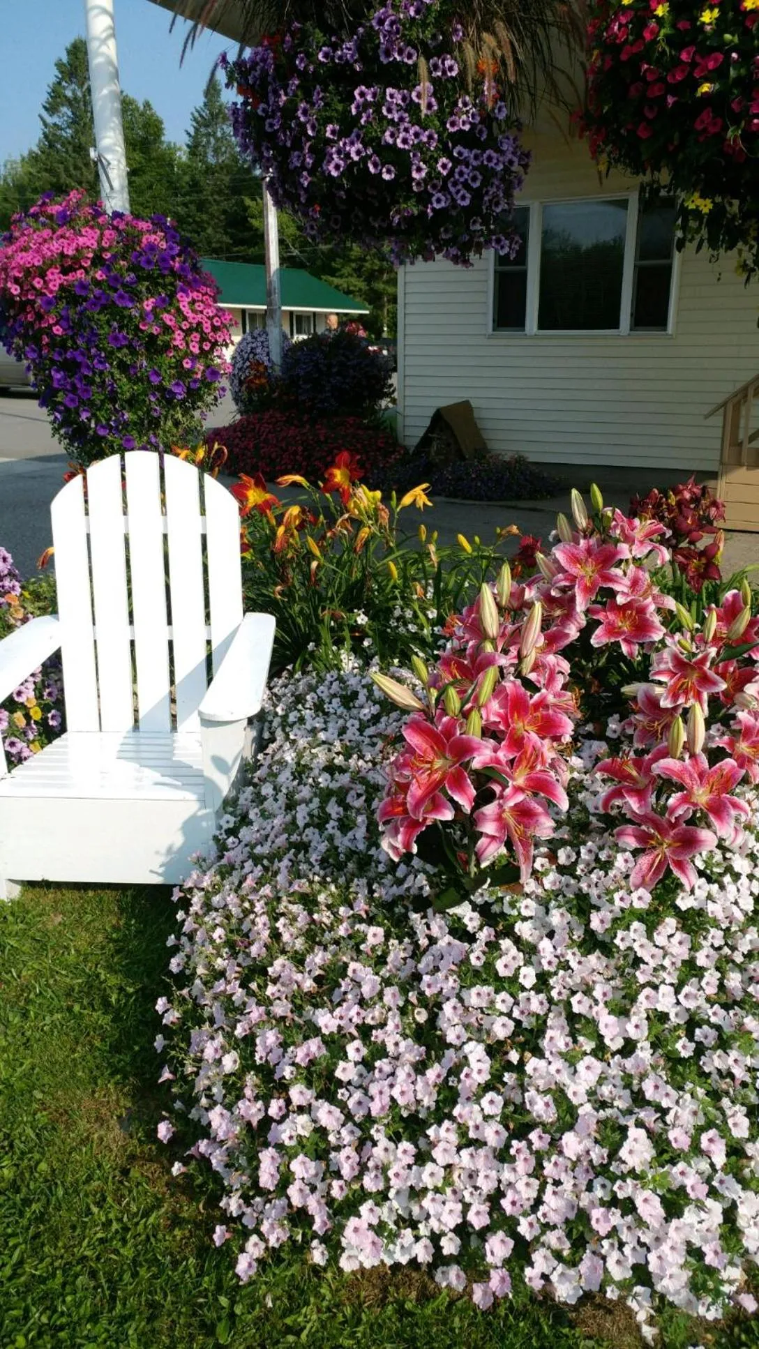 Sunset Motel at Armand's Gardens