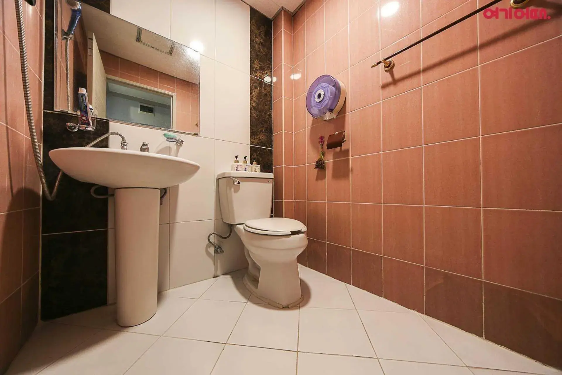 Bathroom in Goodstay Grand Motel Chuncheon