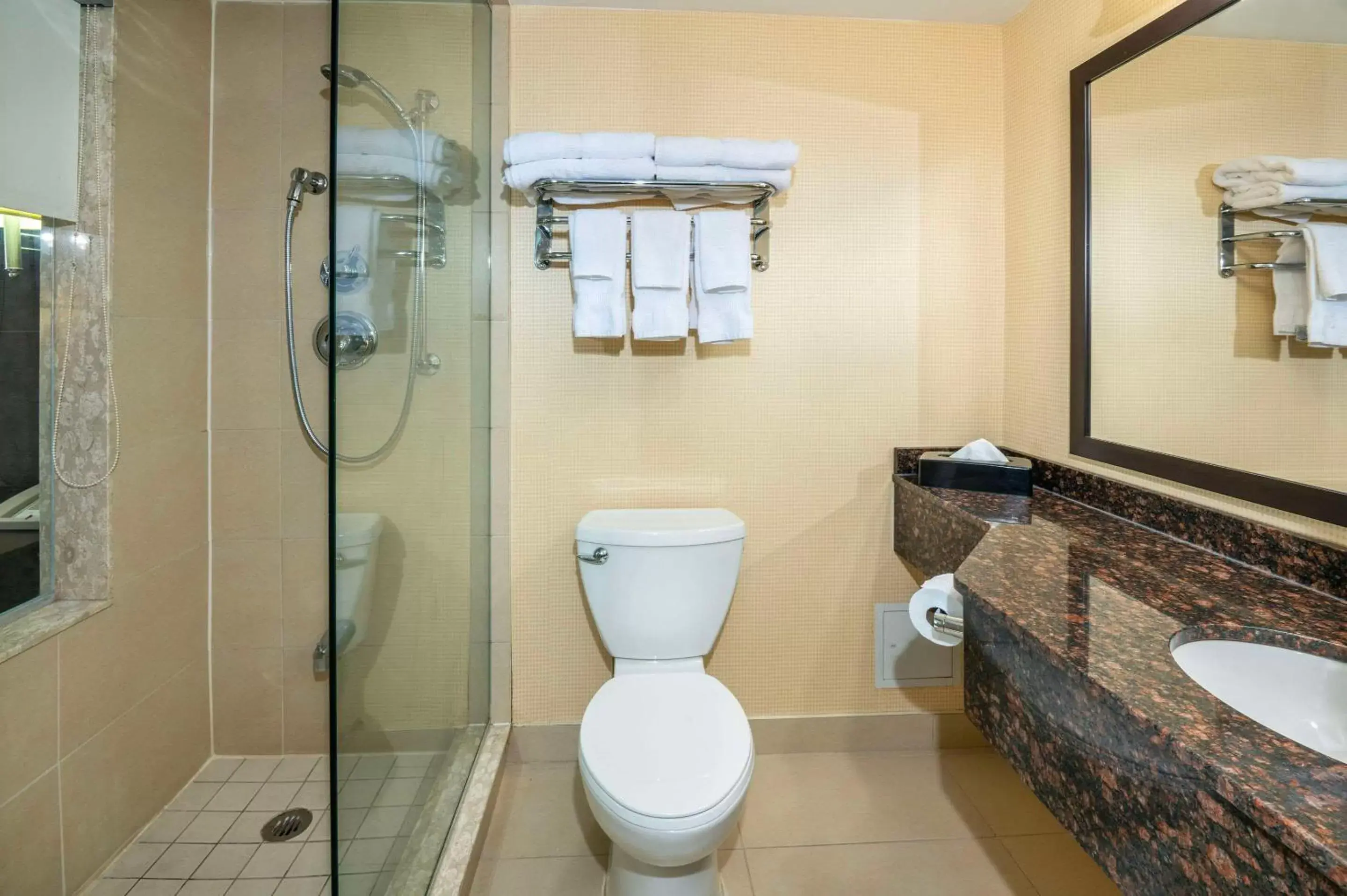 Bedroom, Bathroom in Comfort Inn & Conference Centre Toronto Airport