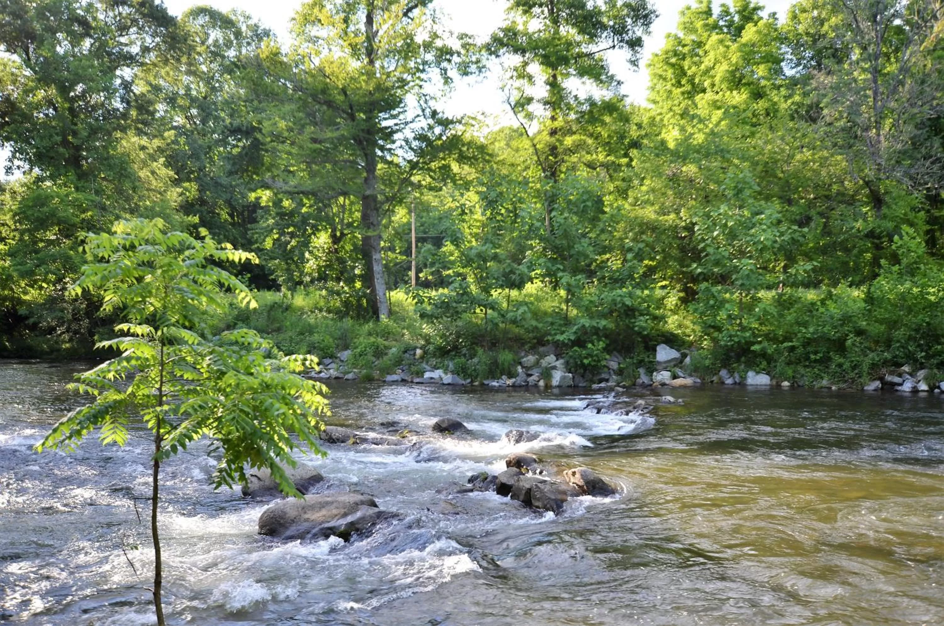 Natural landscape in Quality Inn Cherokee Riverside