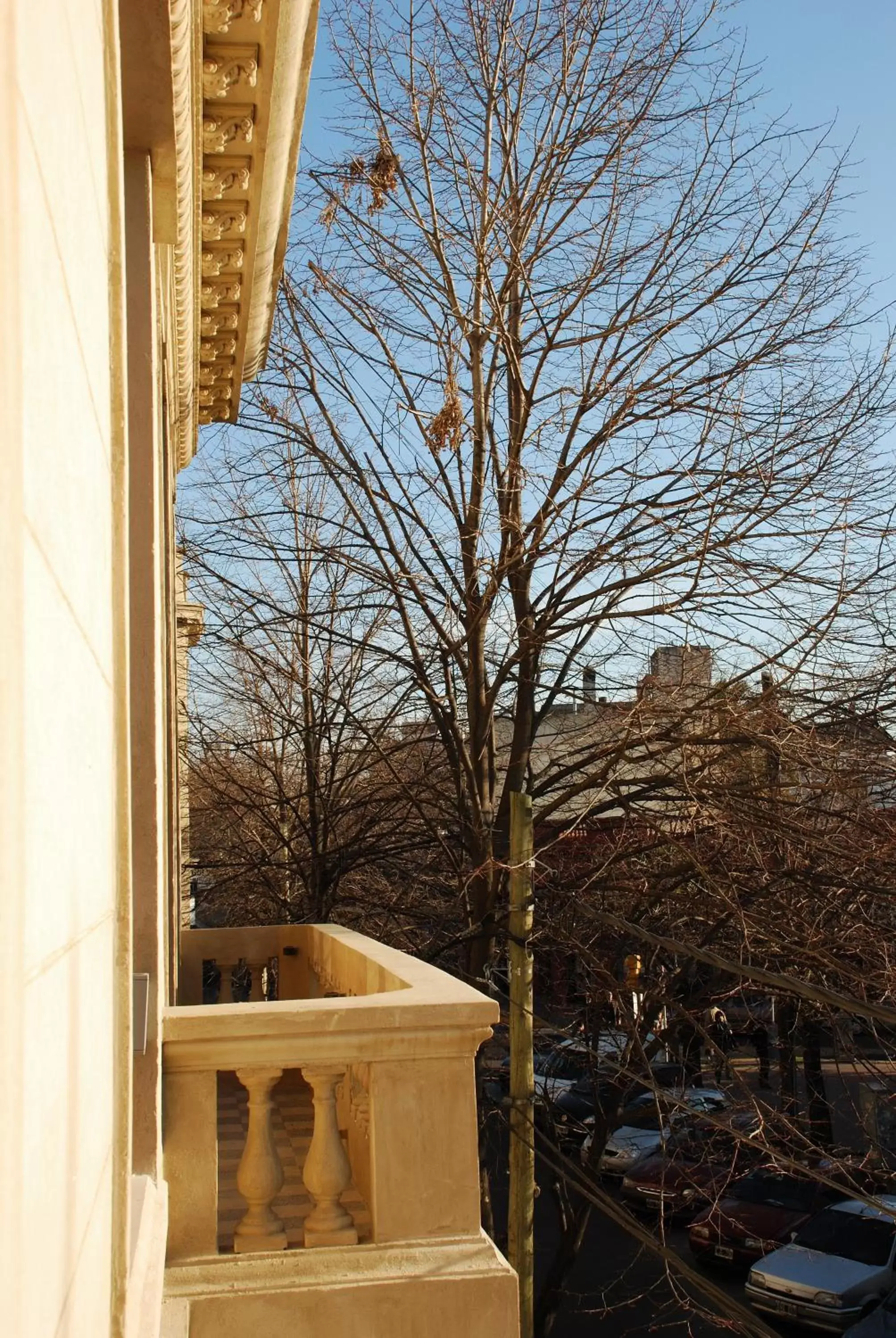 Decorative detail, Winter in San Isidro Plaza Hotel