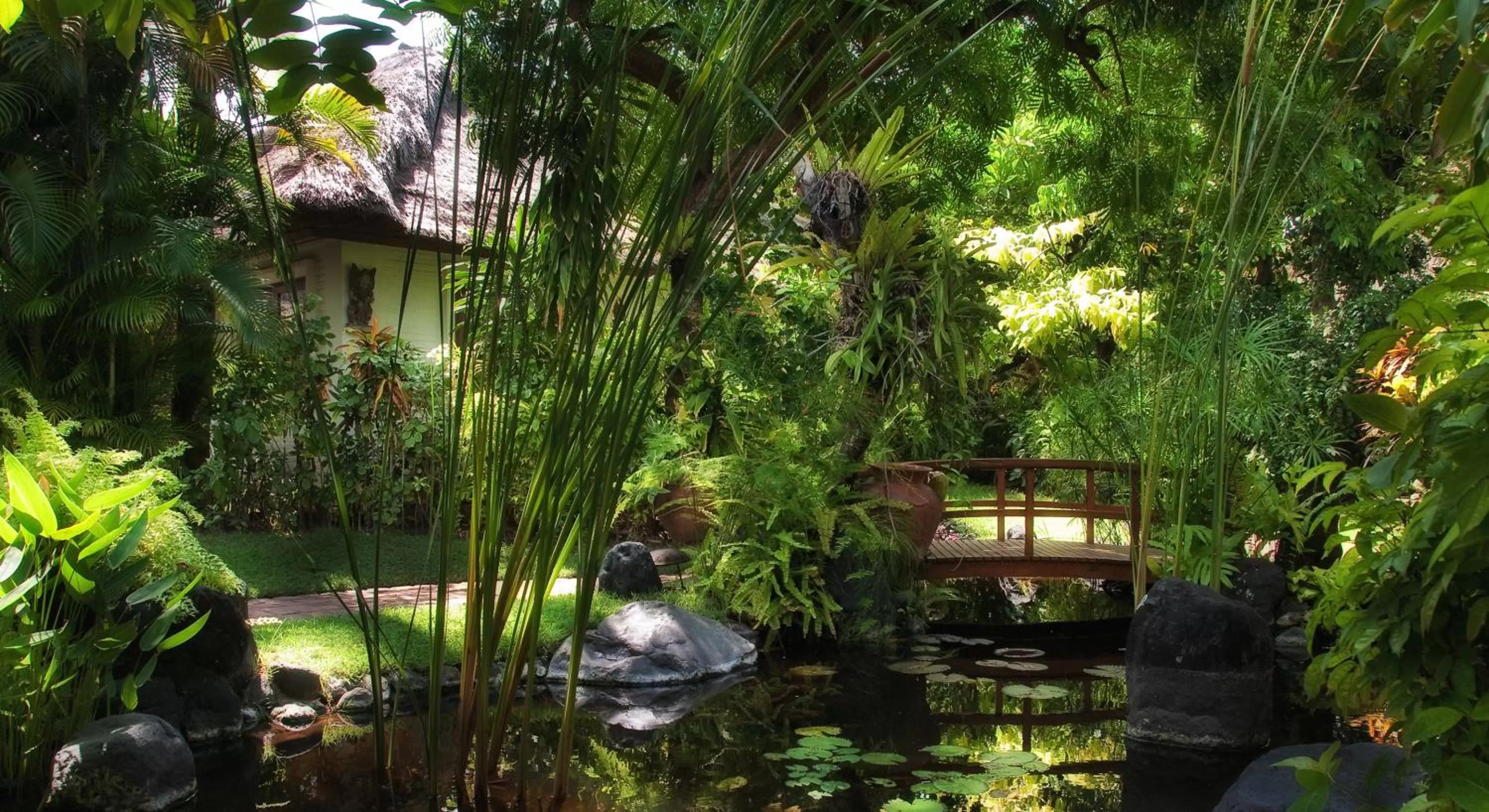 Garden in Poppies Bali