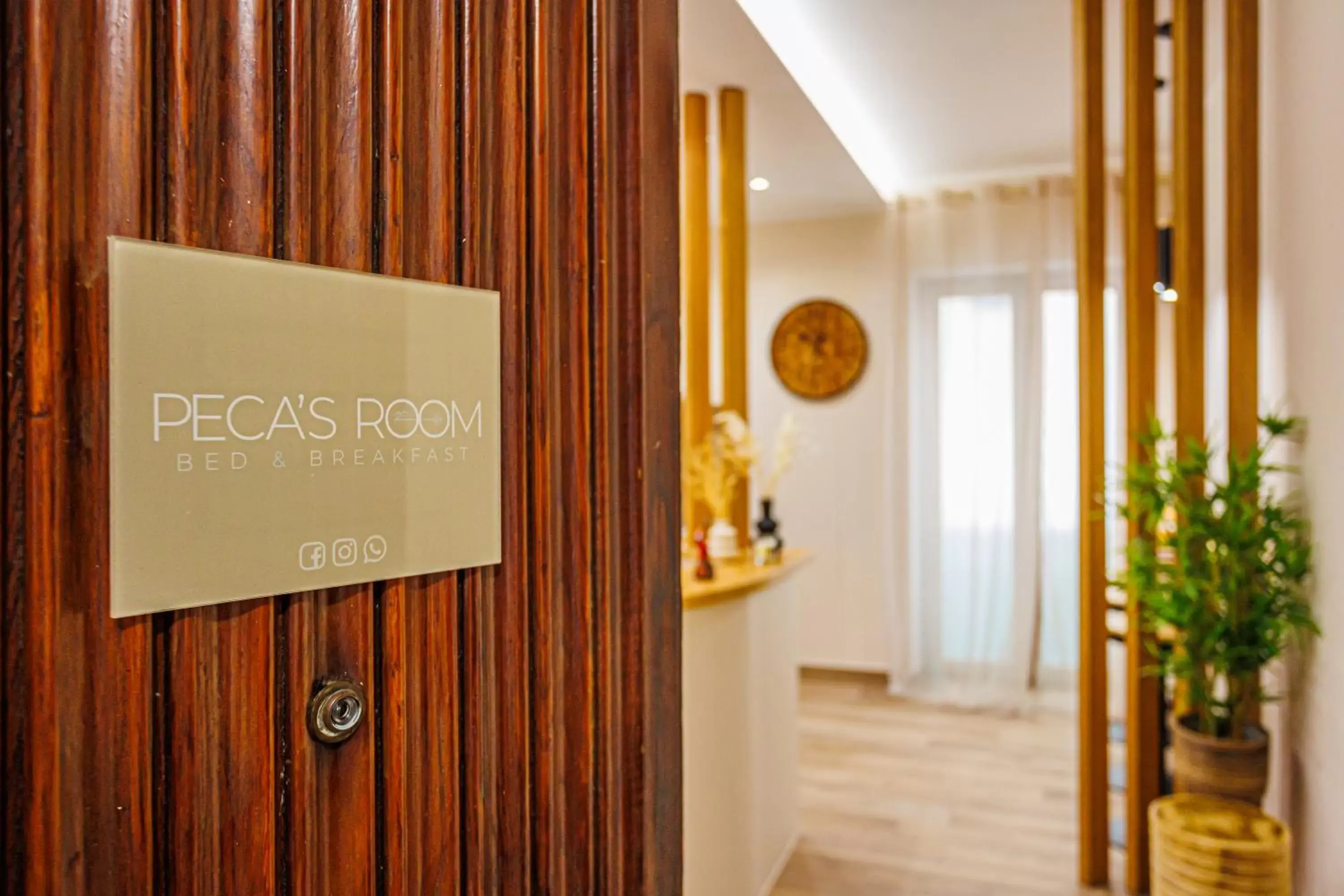 Lobby or reception in Peca's room