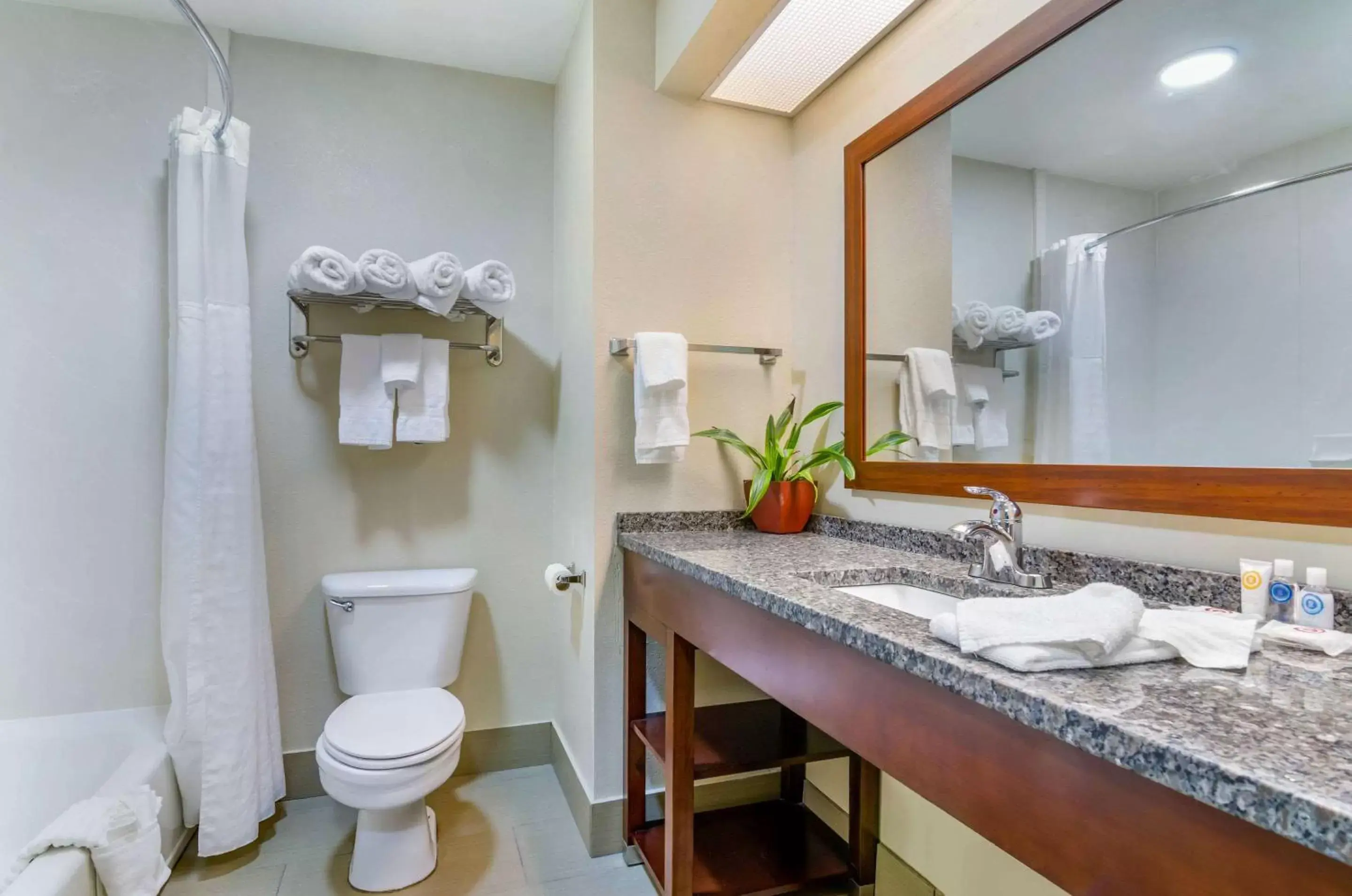 Bathroom in Comfort Inn Ottawa