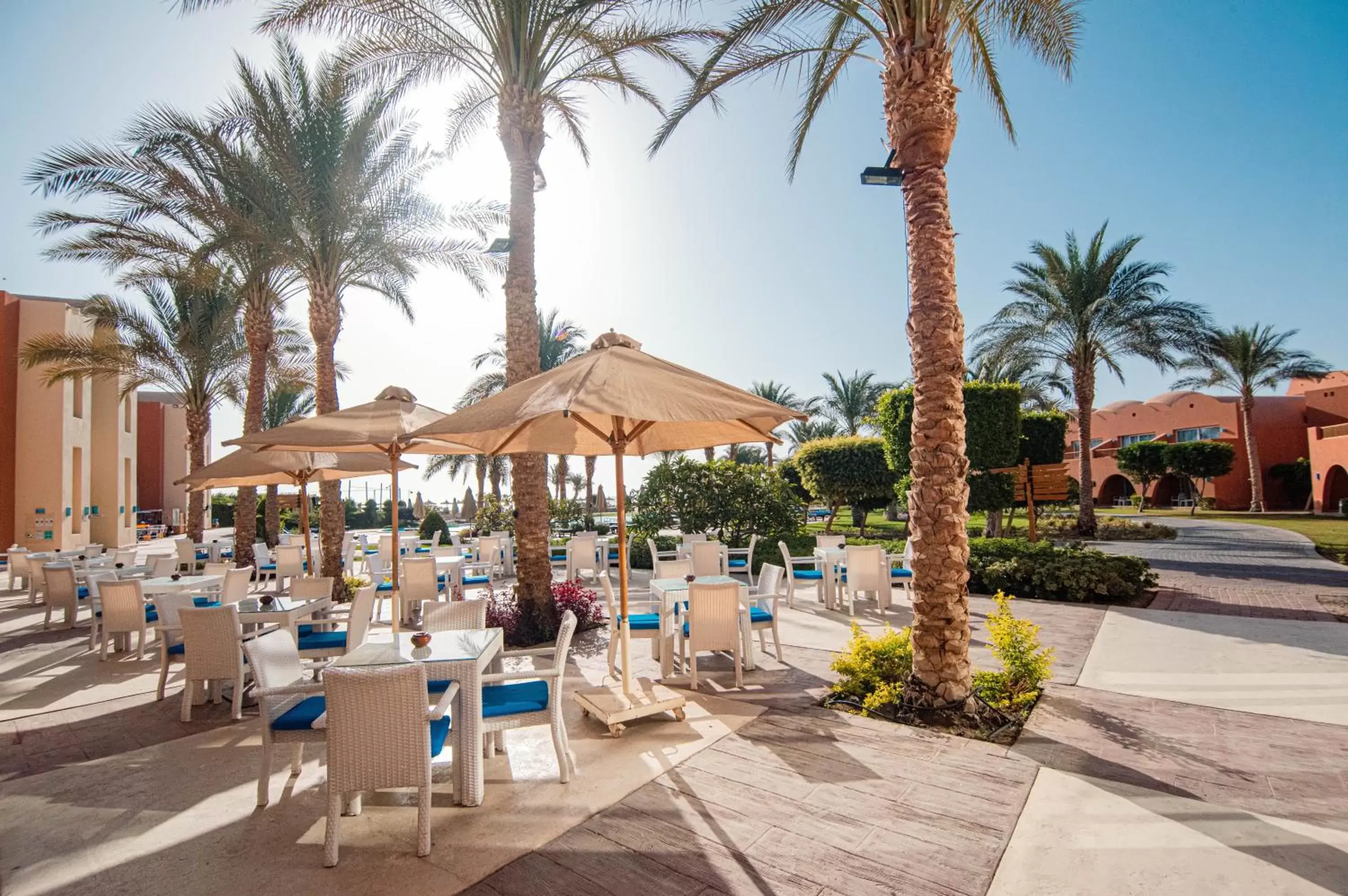 Restaurant/places to eat in Novotel Marsa Alam Beach Resort