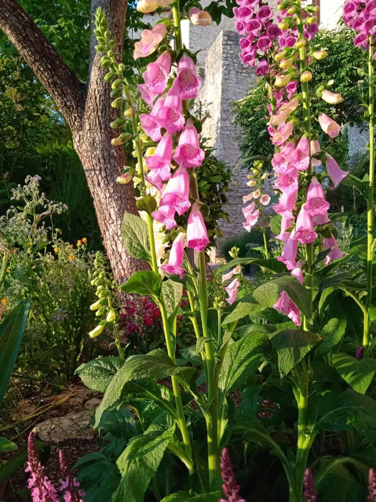 Day, Garden in Borgo San Valentino