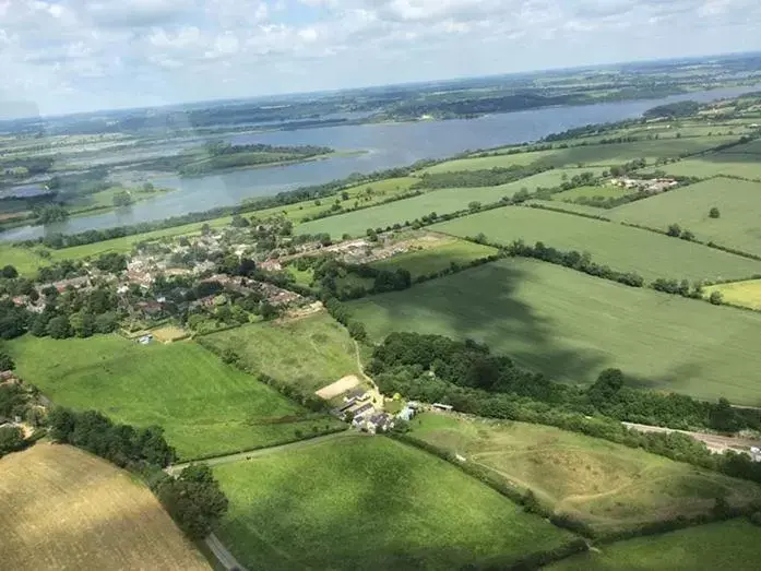 Bird's-eye View in Broccoli Bottom