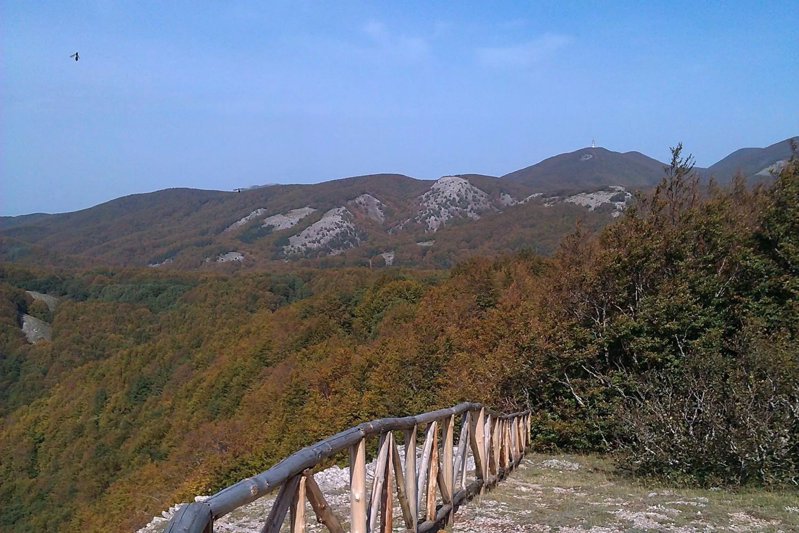 Area and facilities in B&B Esperança