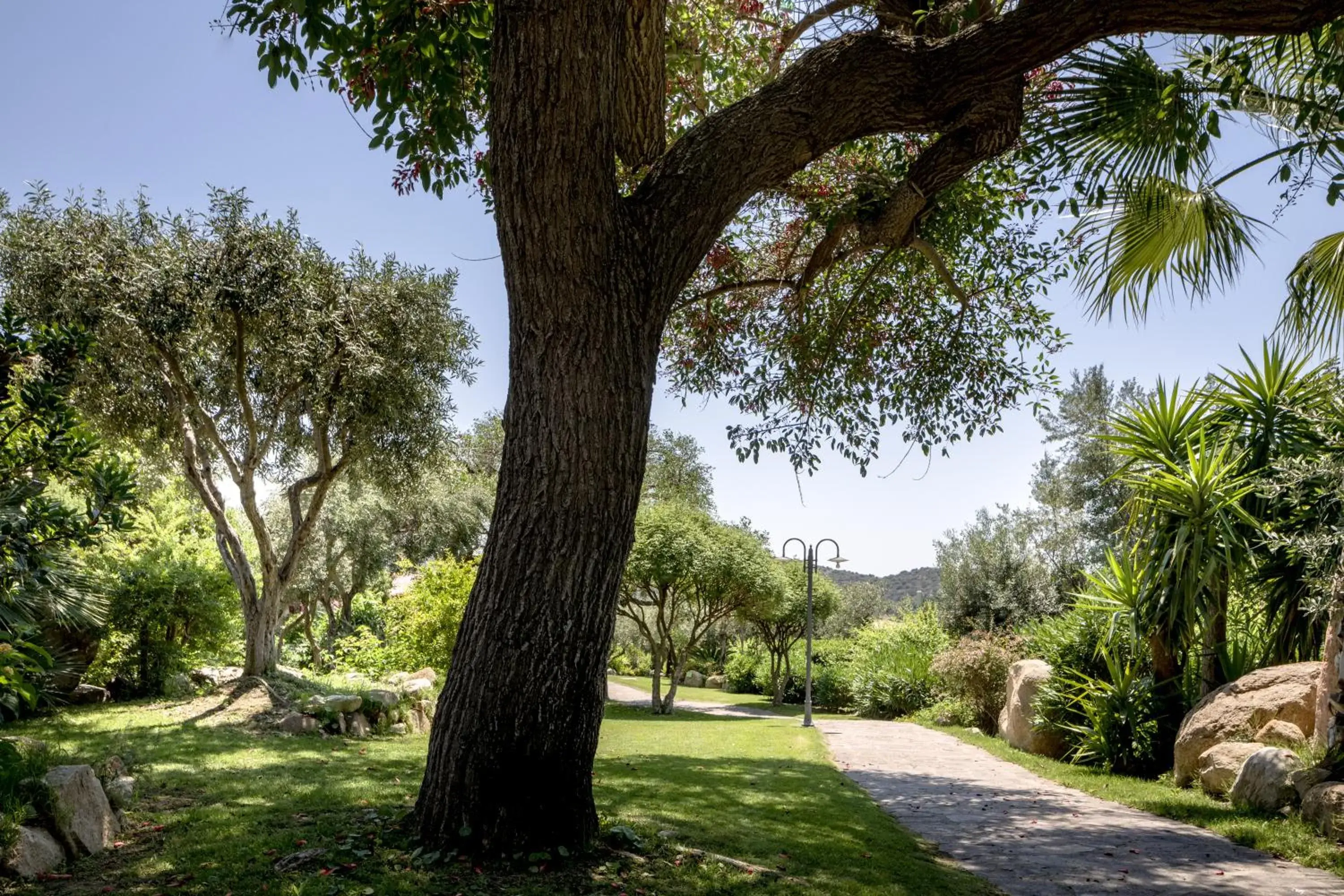 Garden in Cruccùris Resort