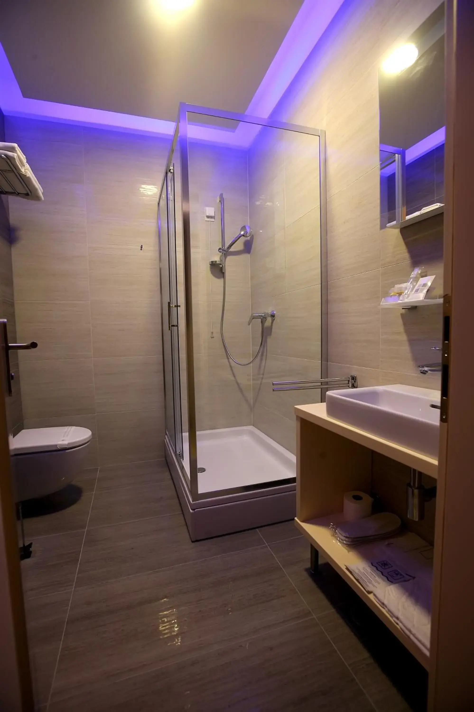 Shower, Bathroom in Hotel Gallus