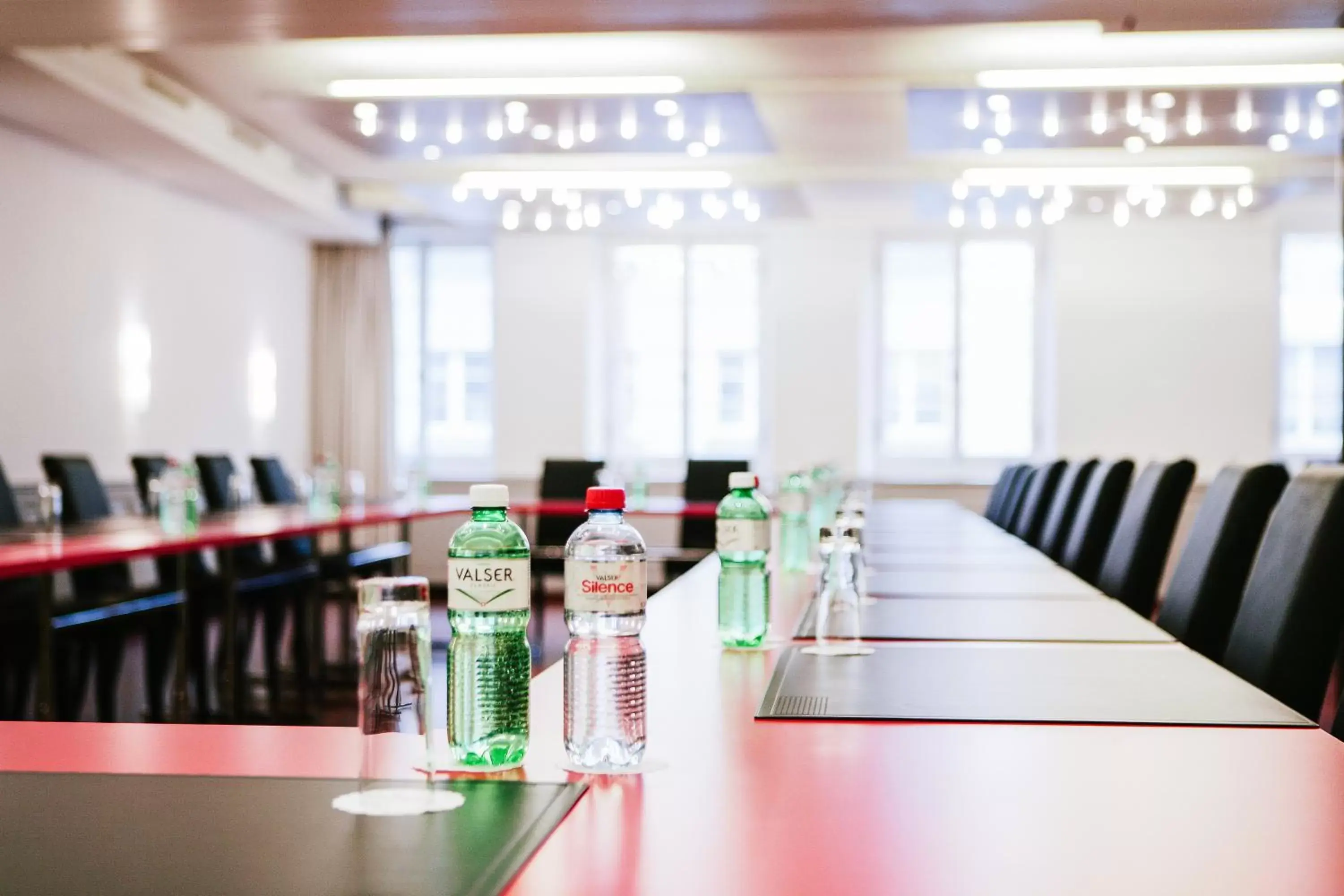 Business facilities, Business Area/Conference Room in Hotel Murtenhof & Krone