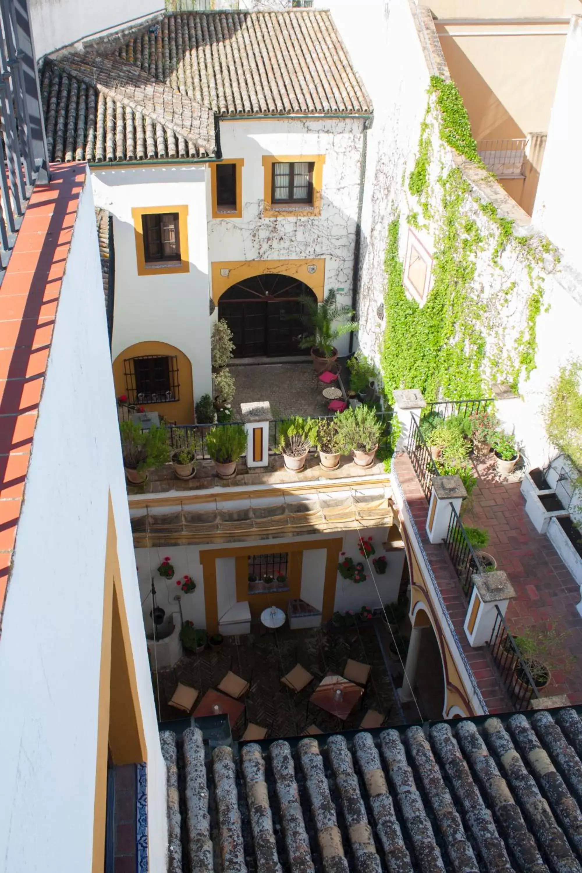 Balcony/Terrace in Hotel Casa Imperial