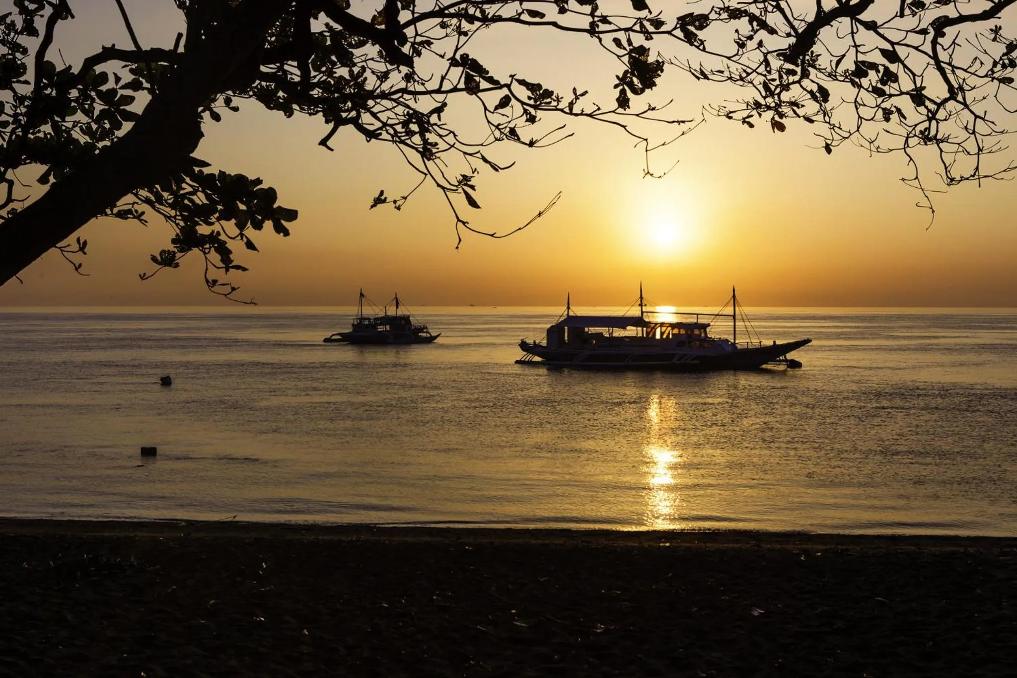 Beach in Mike's Dauin Dive Resort