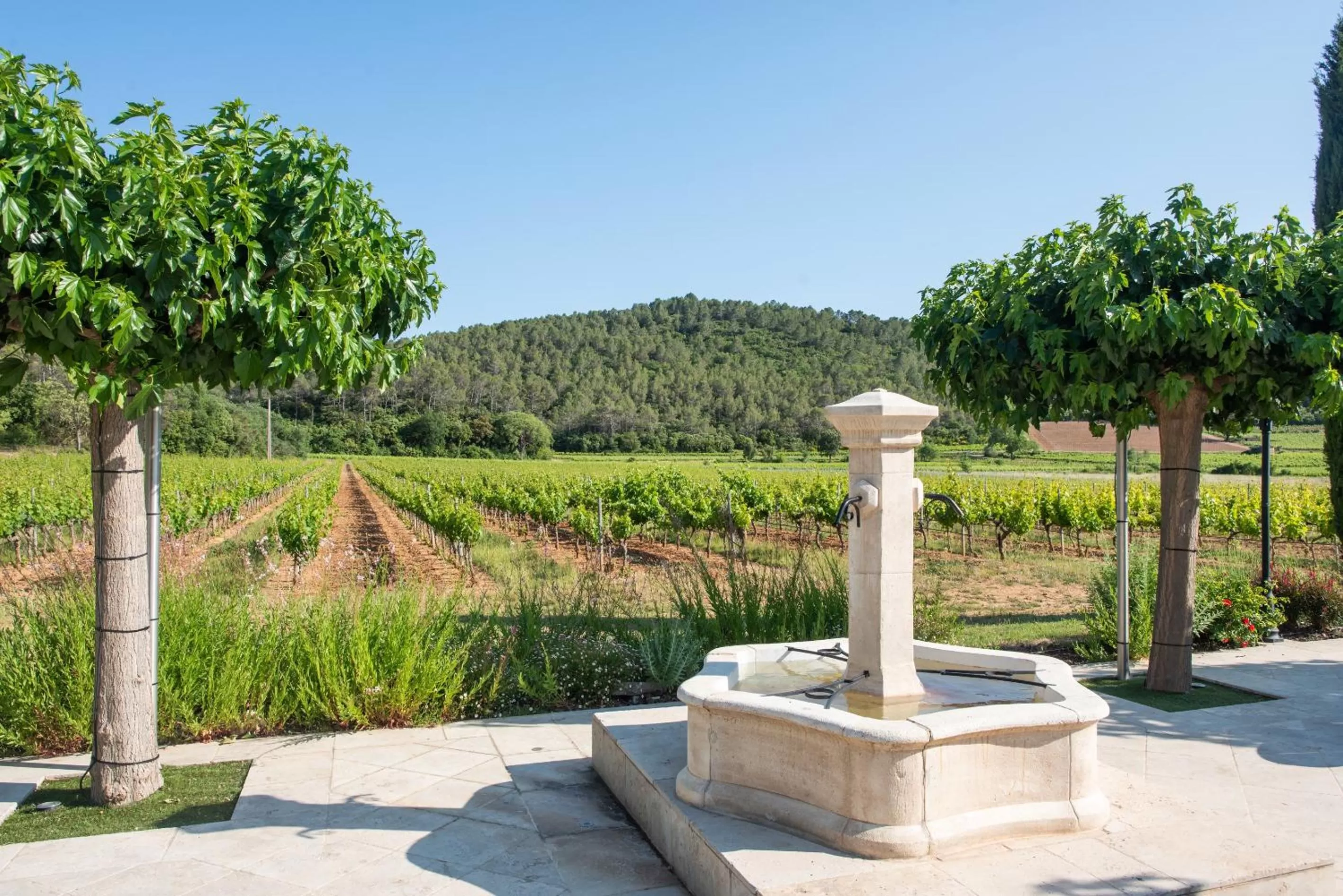 Restaurant/places to eat in Chateau de Sainte Croix