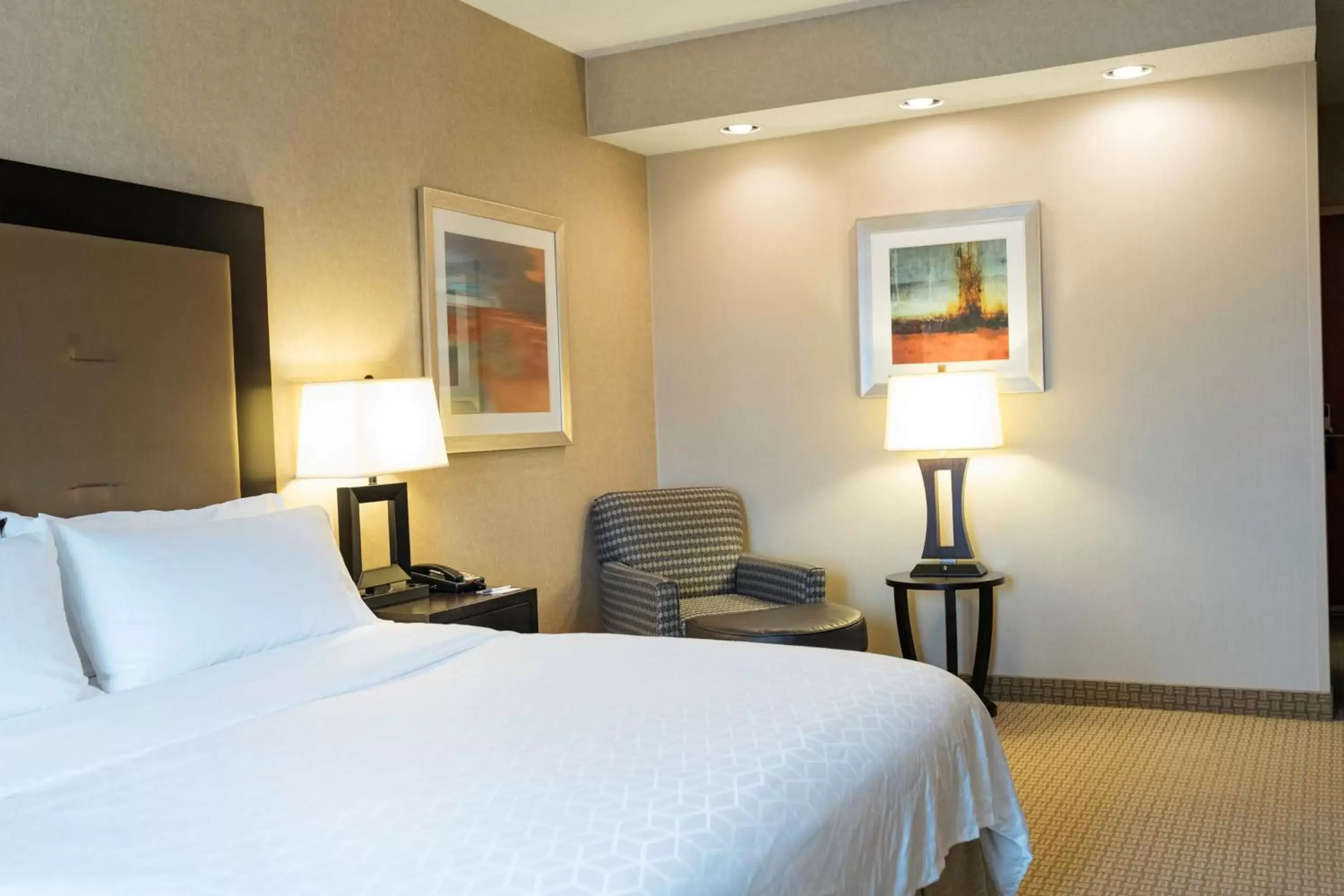 Photo of the whole room, Bed in Holiday Inn Express & Suites - Olathe North, an IHG Hotel