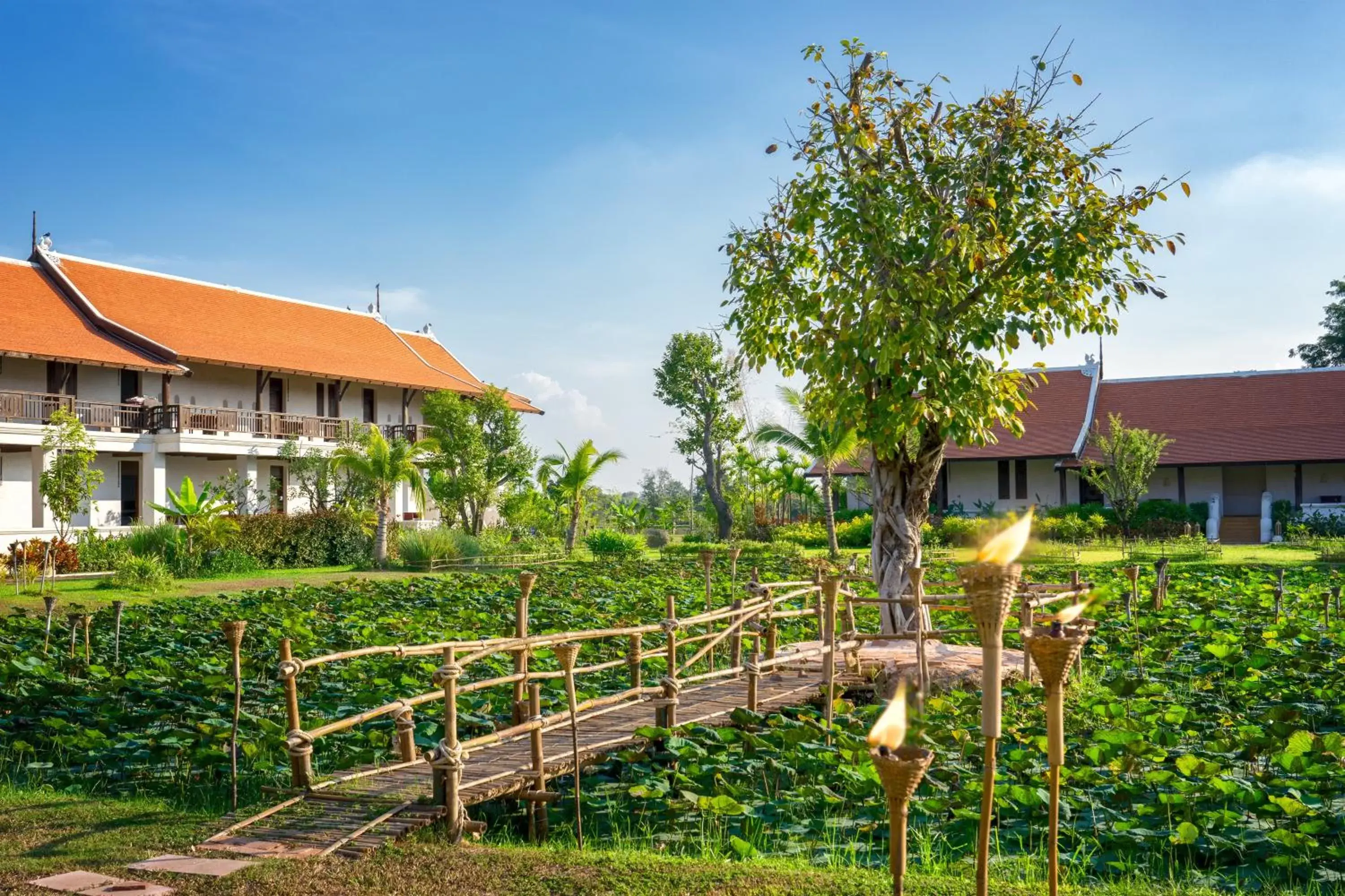 Property Building in Sriwilai Sukhothai