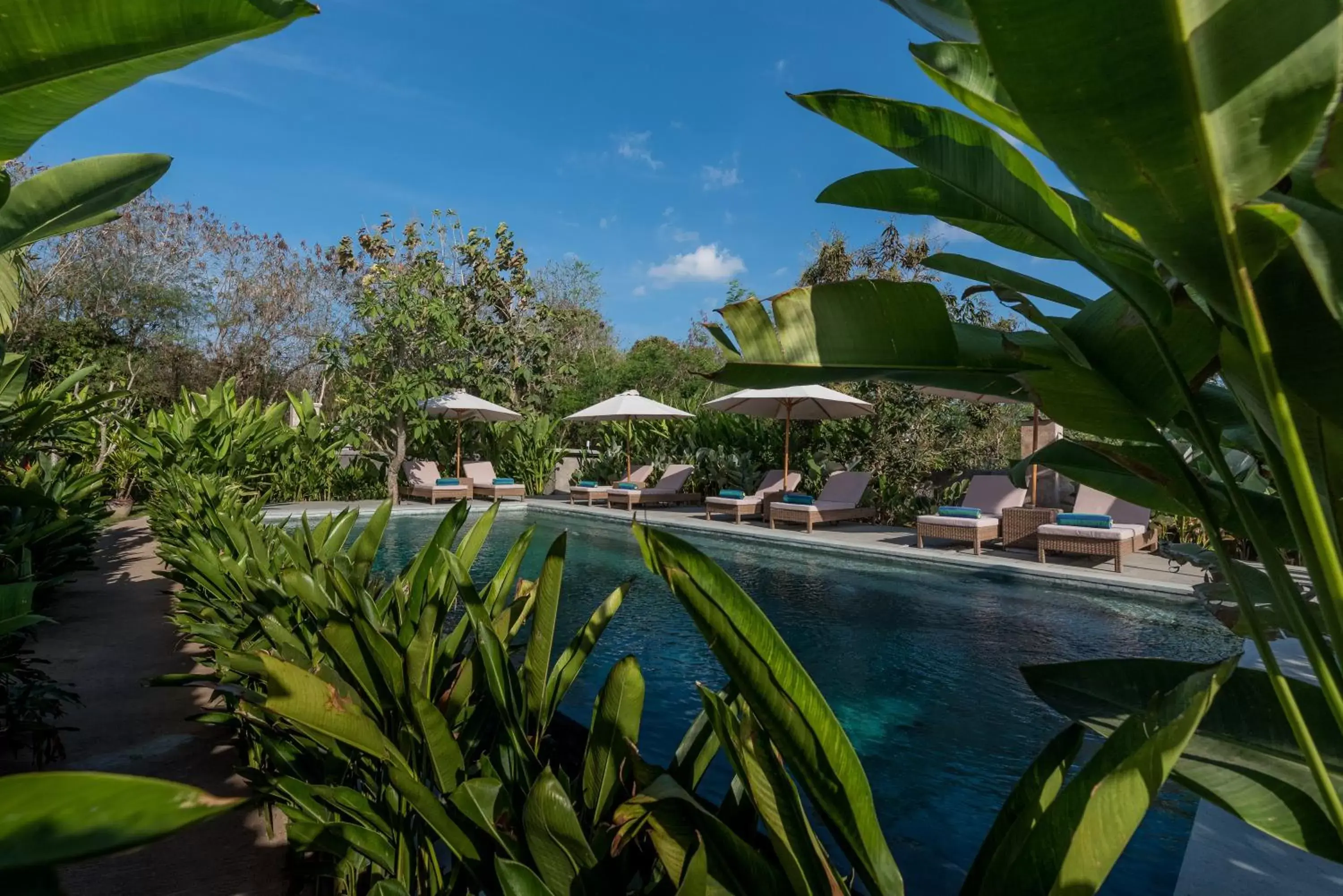 Garden, Swimming Pool in Royal Retreat Villa's Lembongan