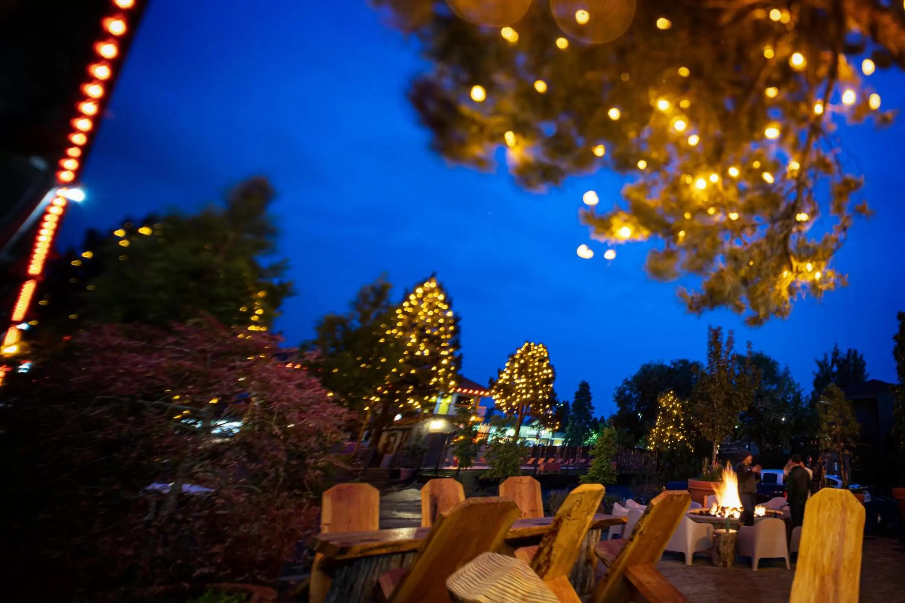 Garden, Banquet Facilities in The Campfire Hotel