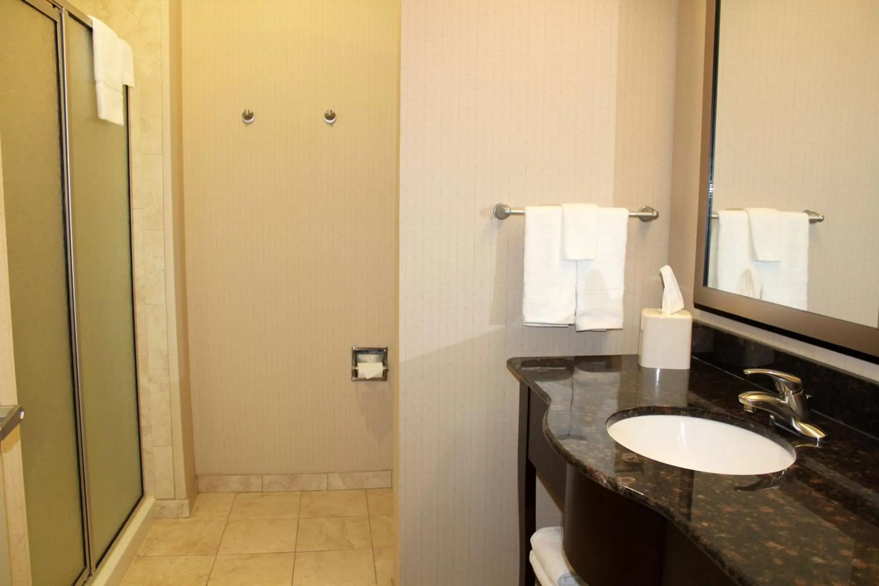 Bathroom in Hampton Inn & Suites Mount Pleasant