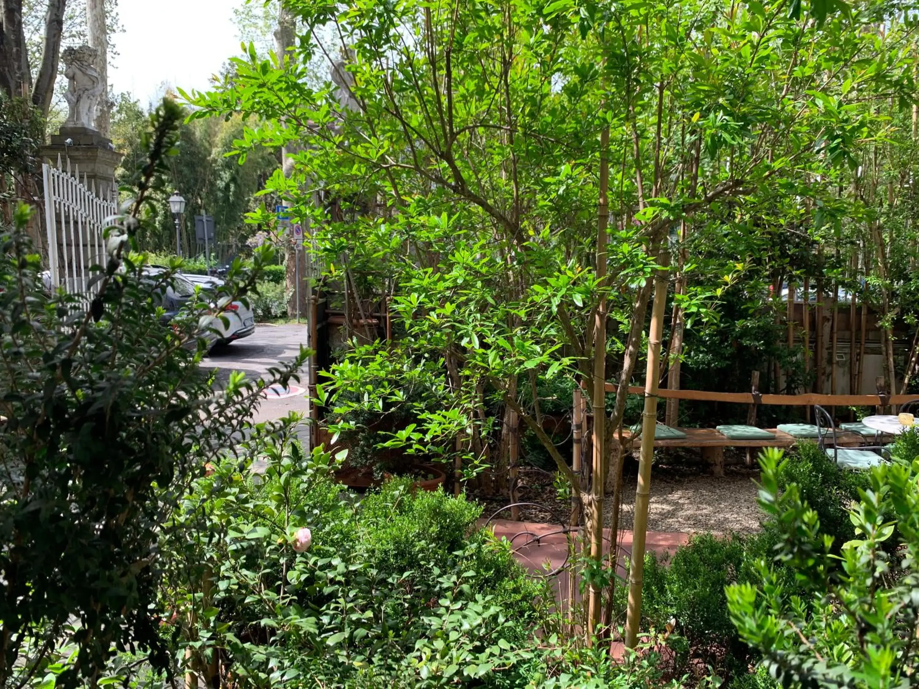 Garden view in Hotel David