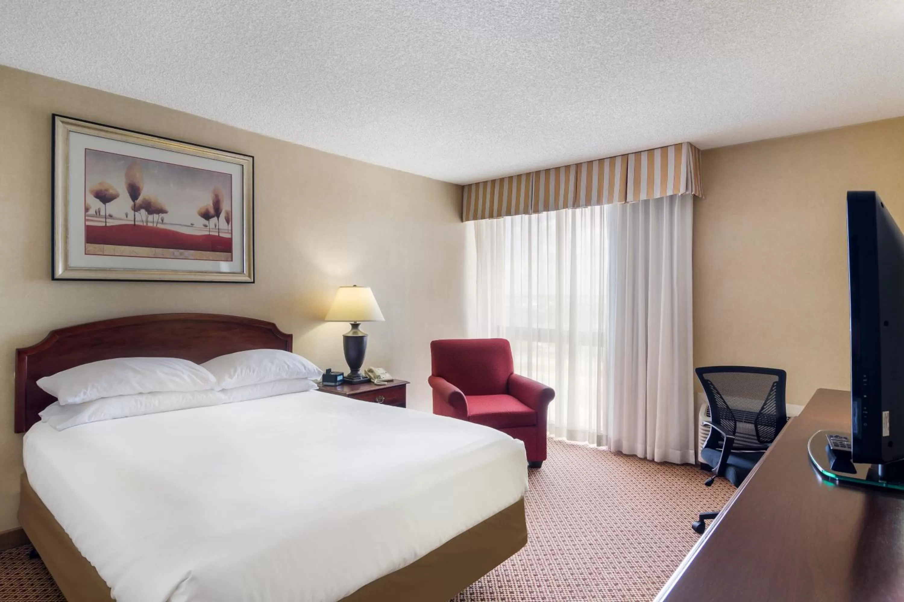 One Queen Bed in Red Lion Hotel Cheyenne