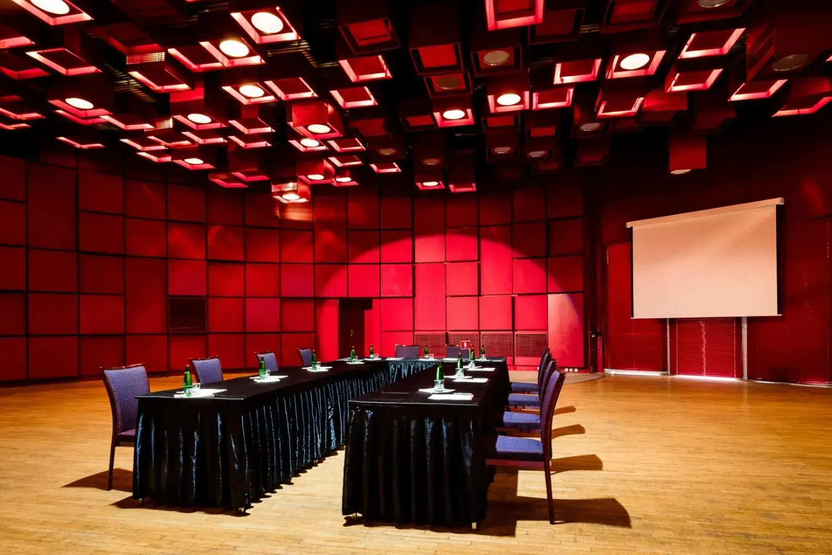Meeting/conference room in Hotel Thermal