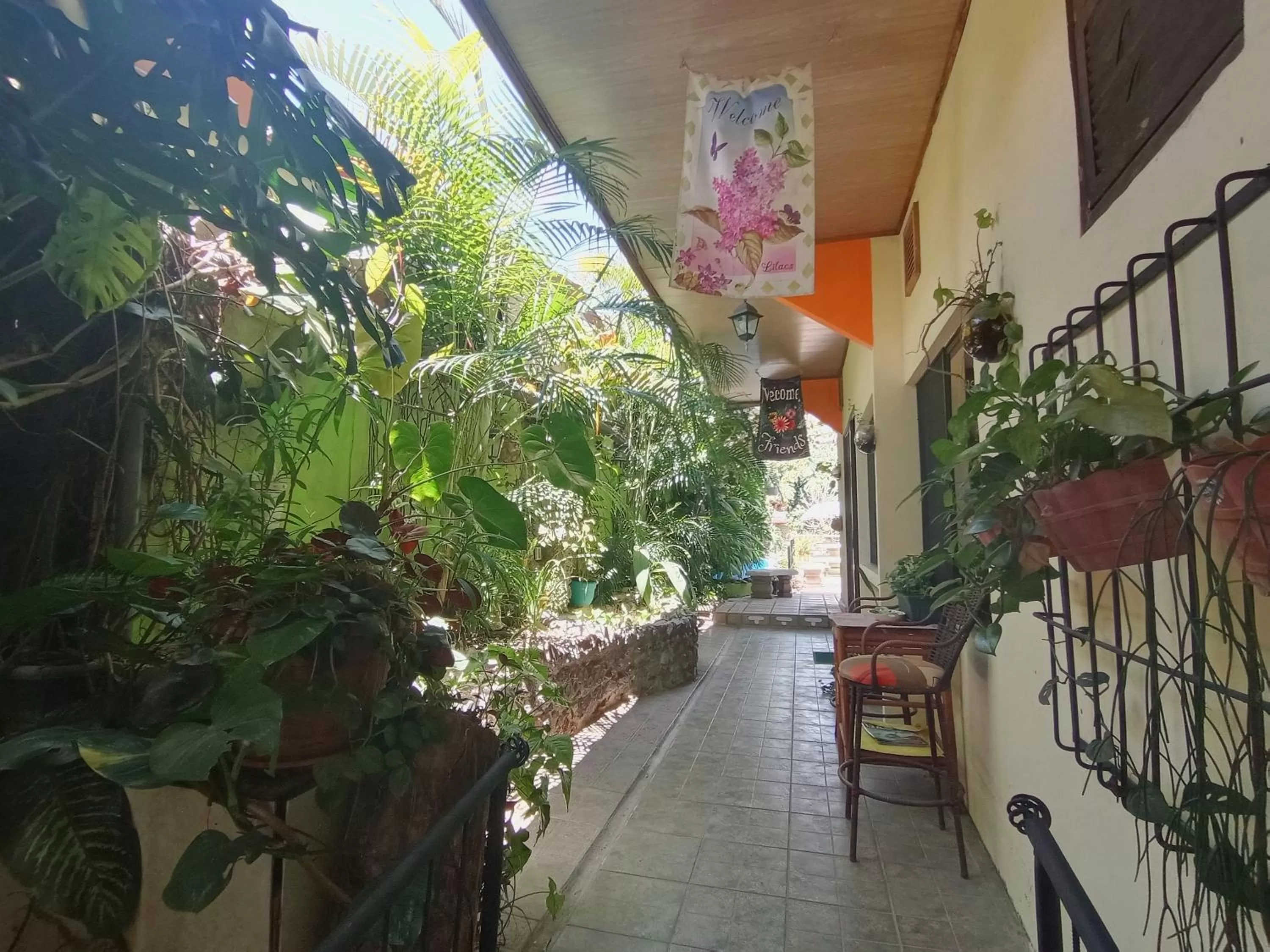 Patio in Nirvana Apartament Hostal