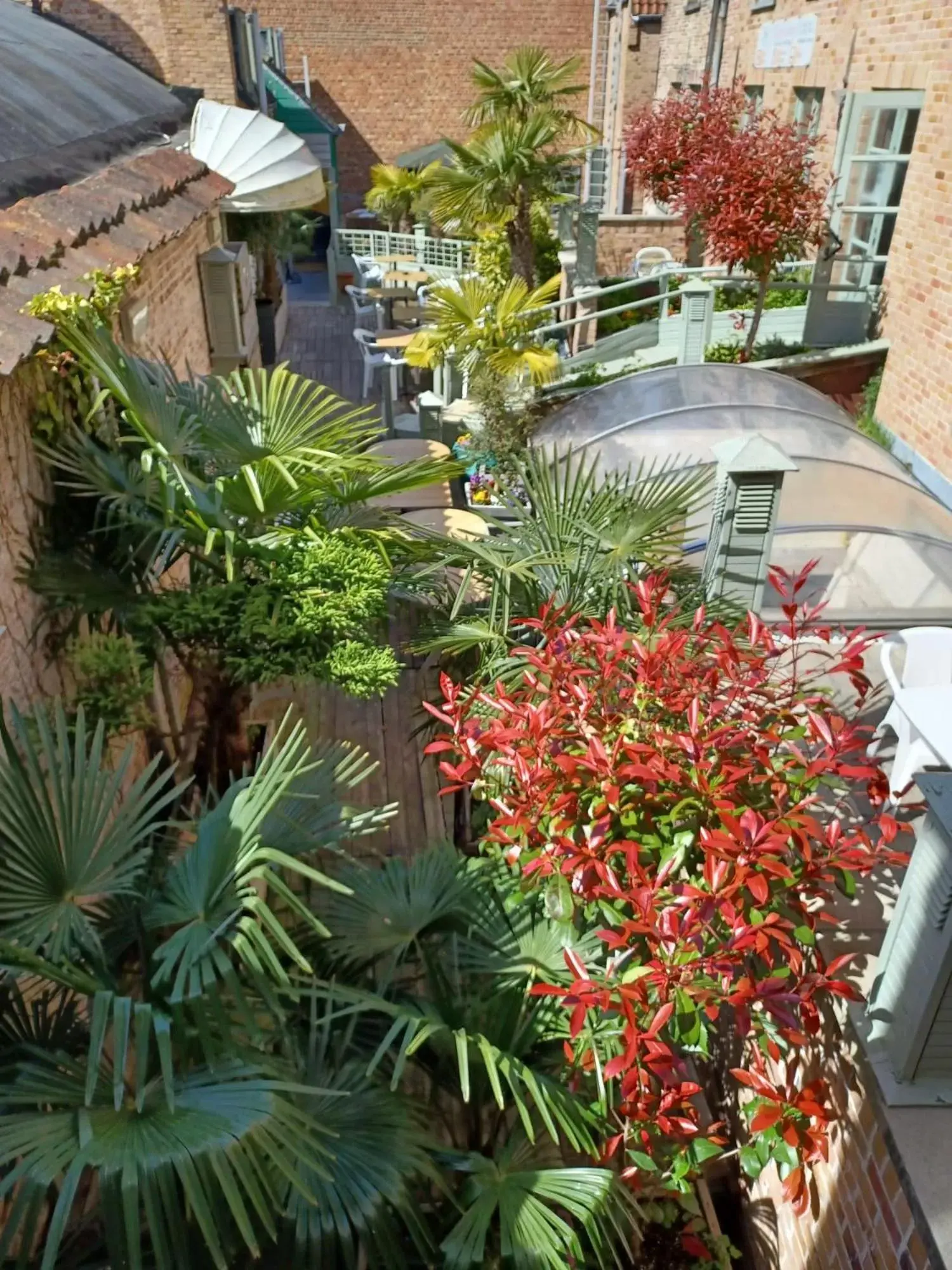 Patio, Pool View in Hotel Koffieboontje