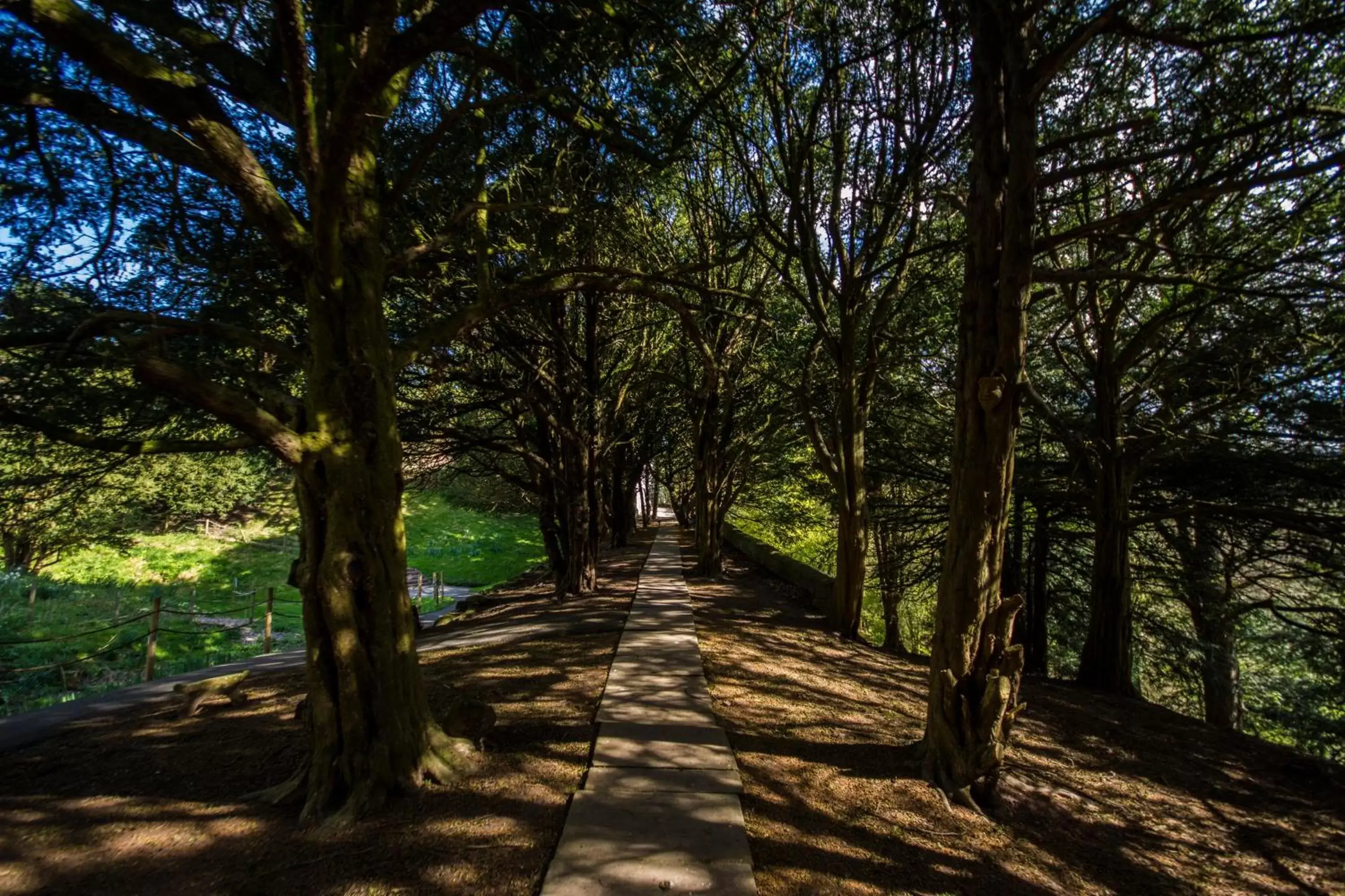 Garden view in Appleby Castle