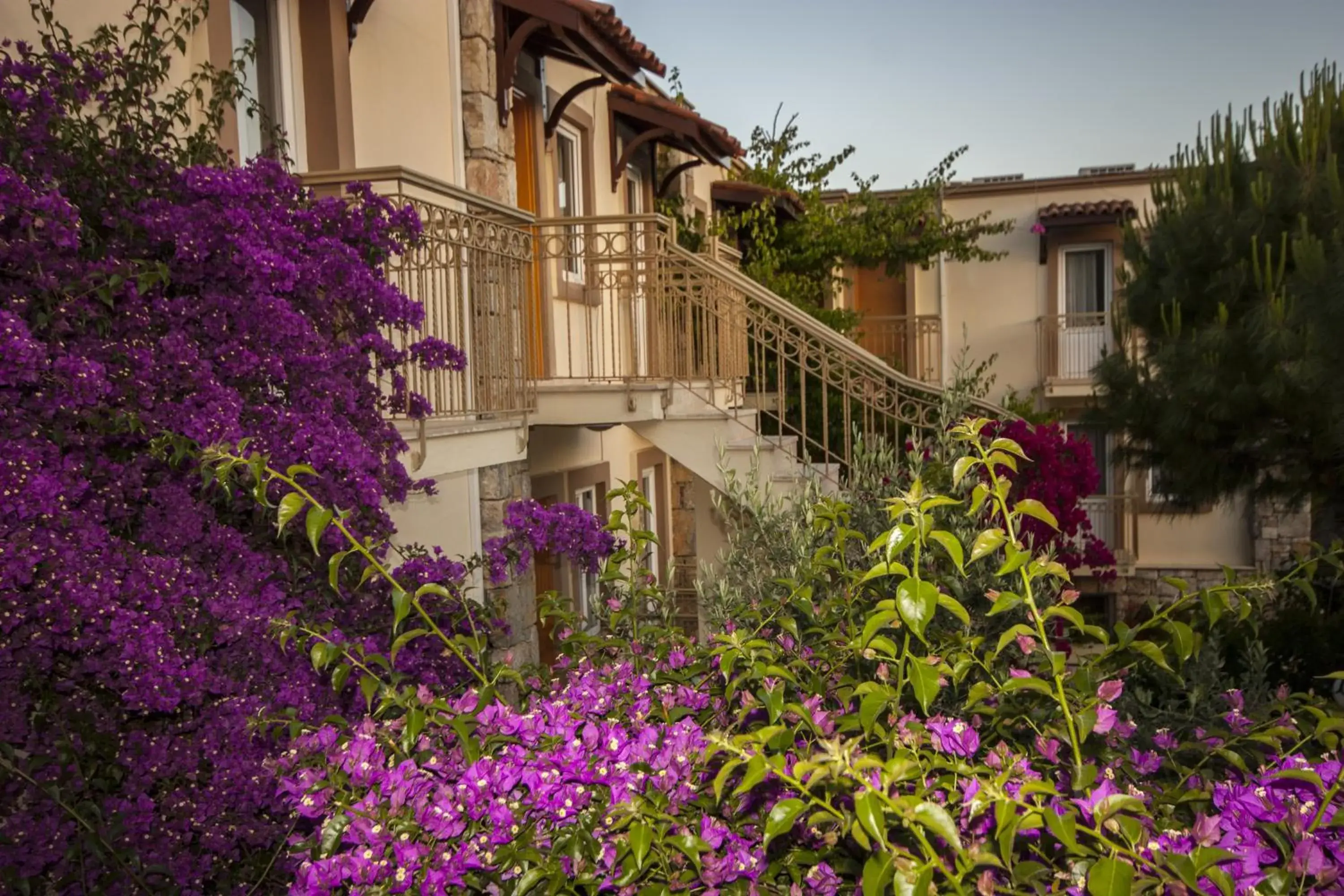 Garden, Property Building in Moonshine Hotel & Suites