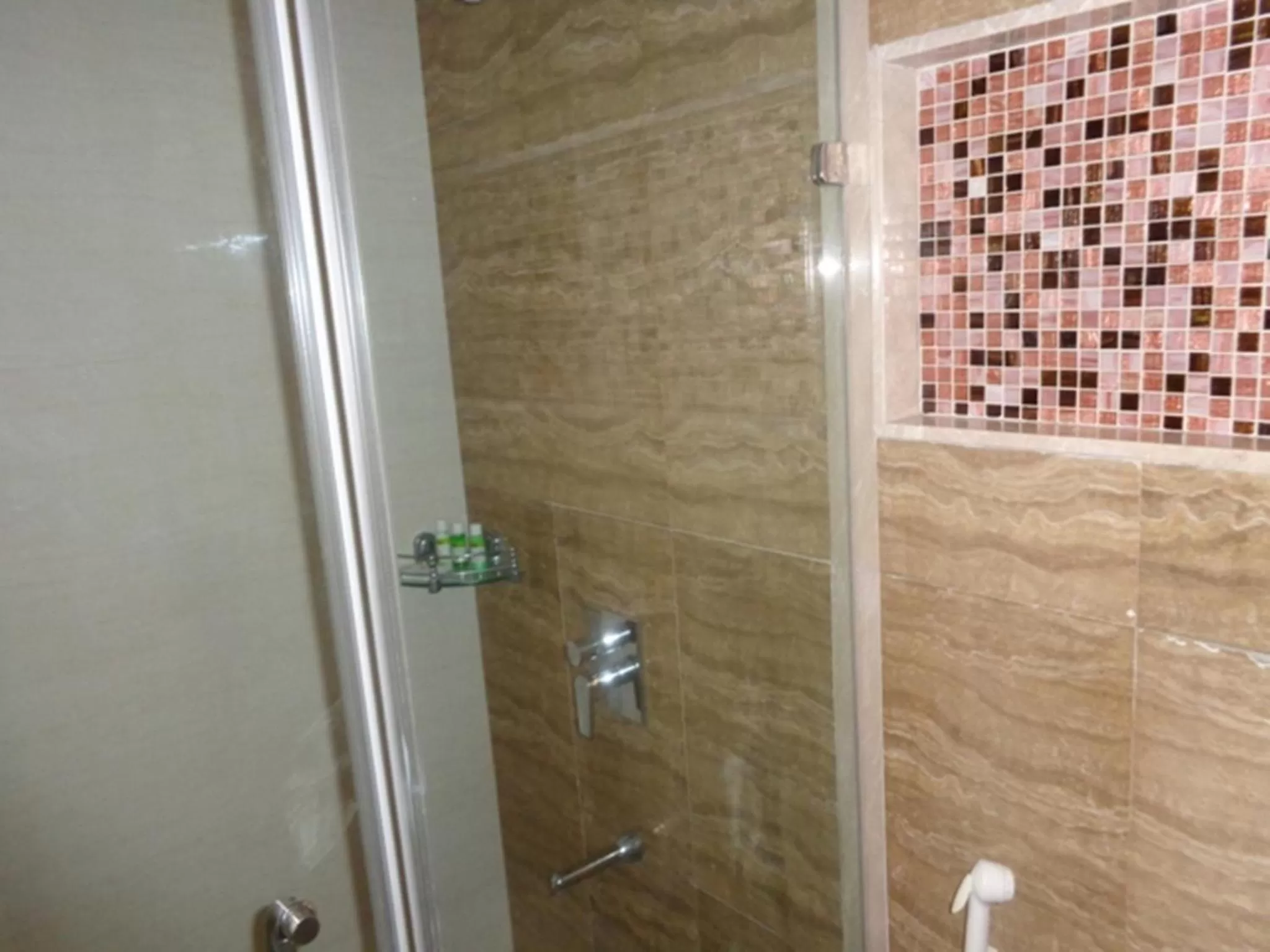 Shower in Ramada Ahmedabad